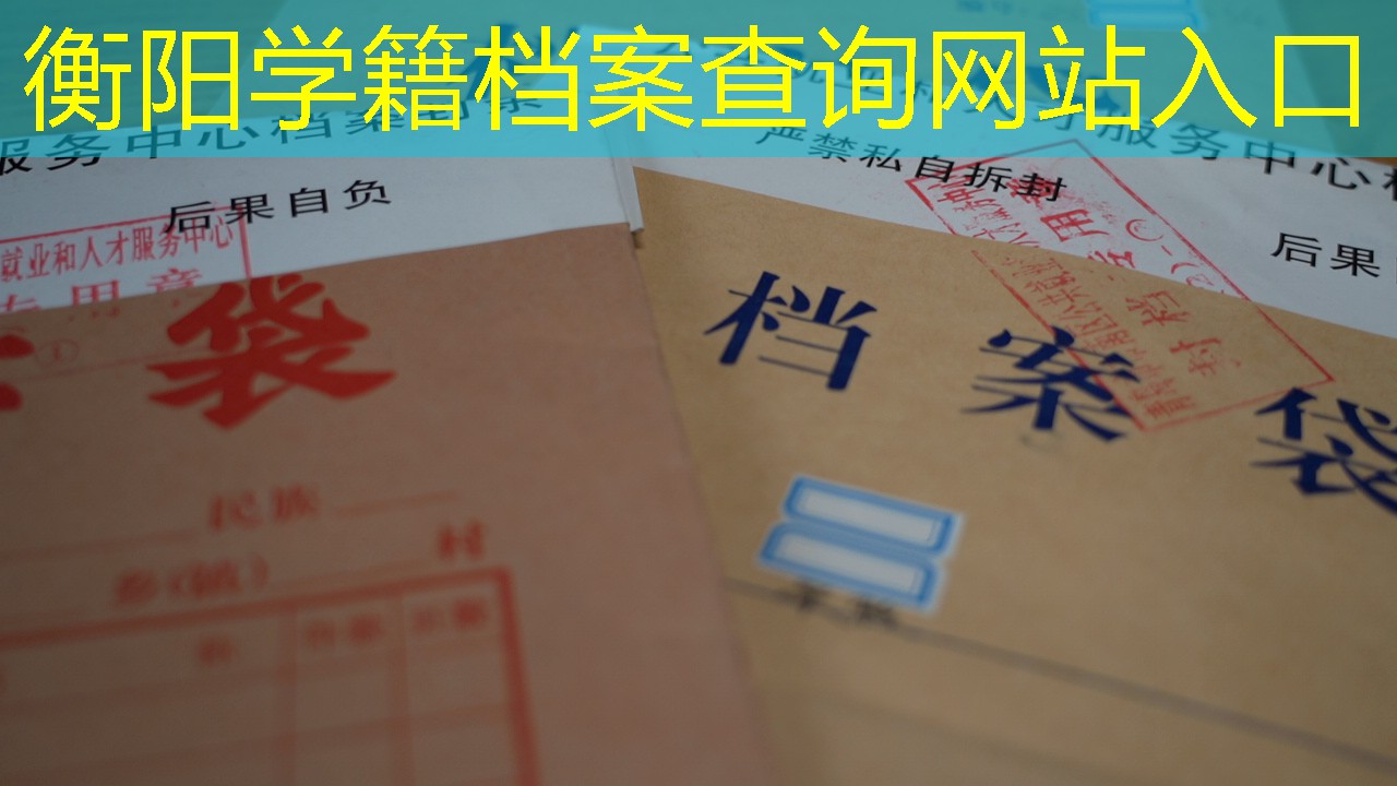 档案查询