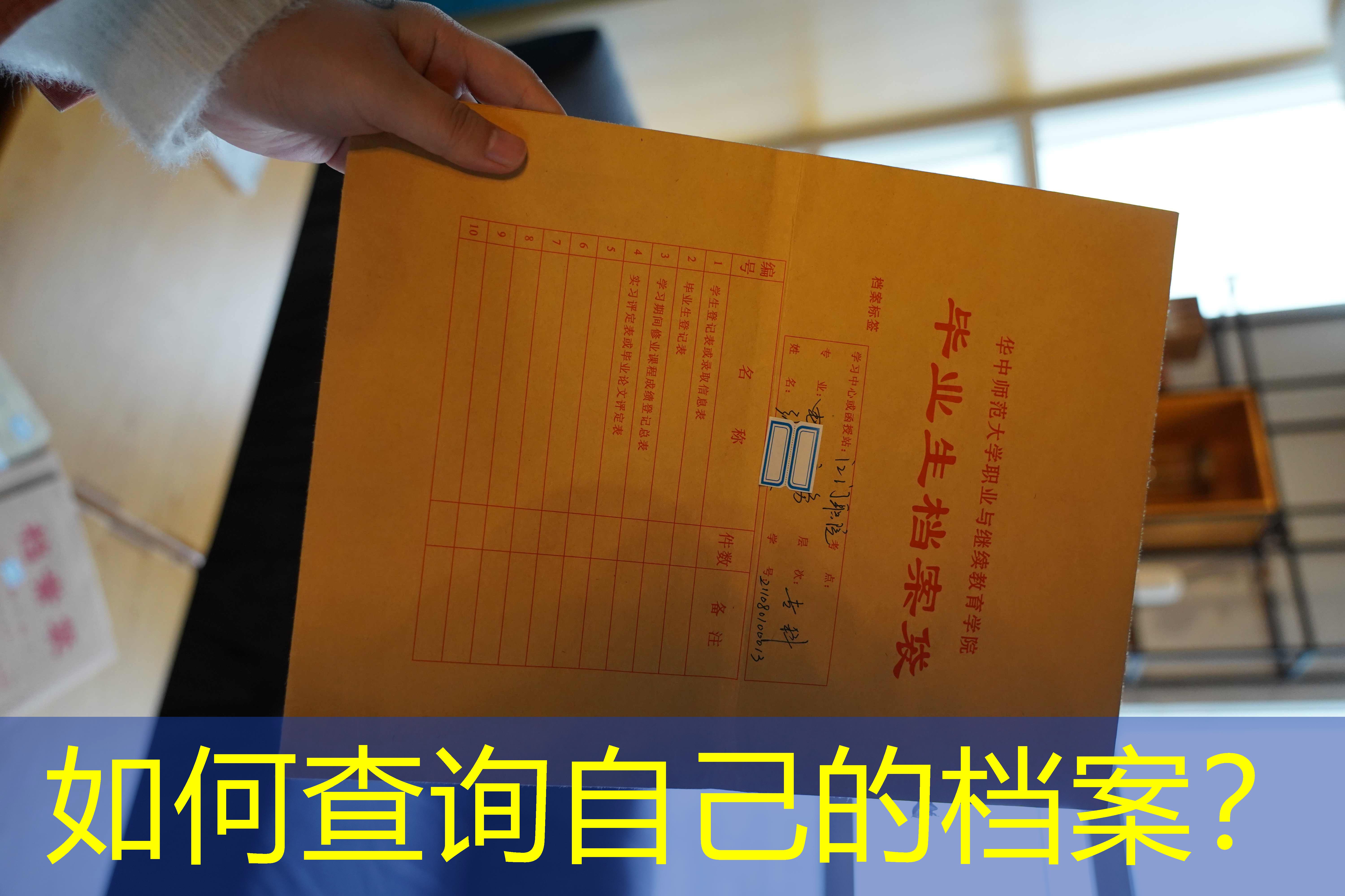档案查询