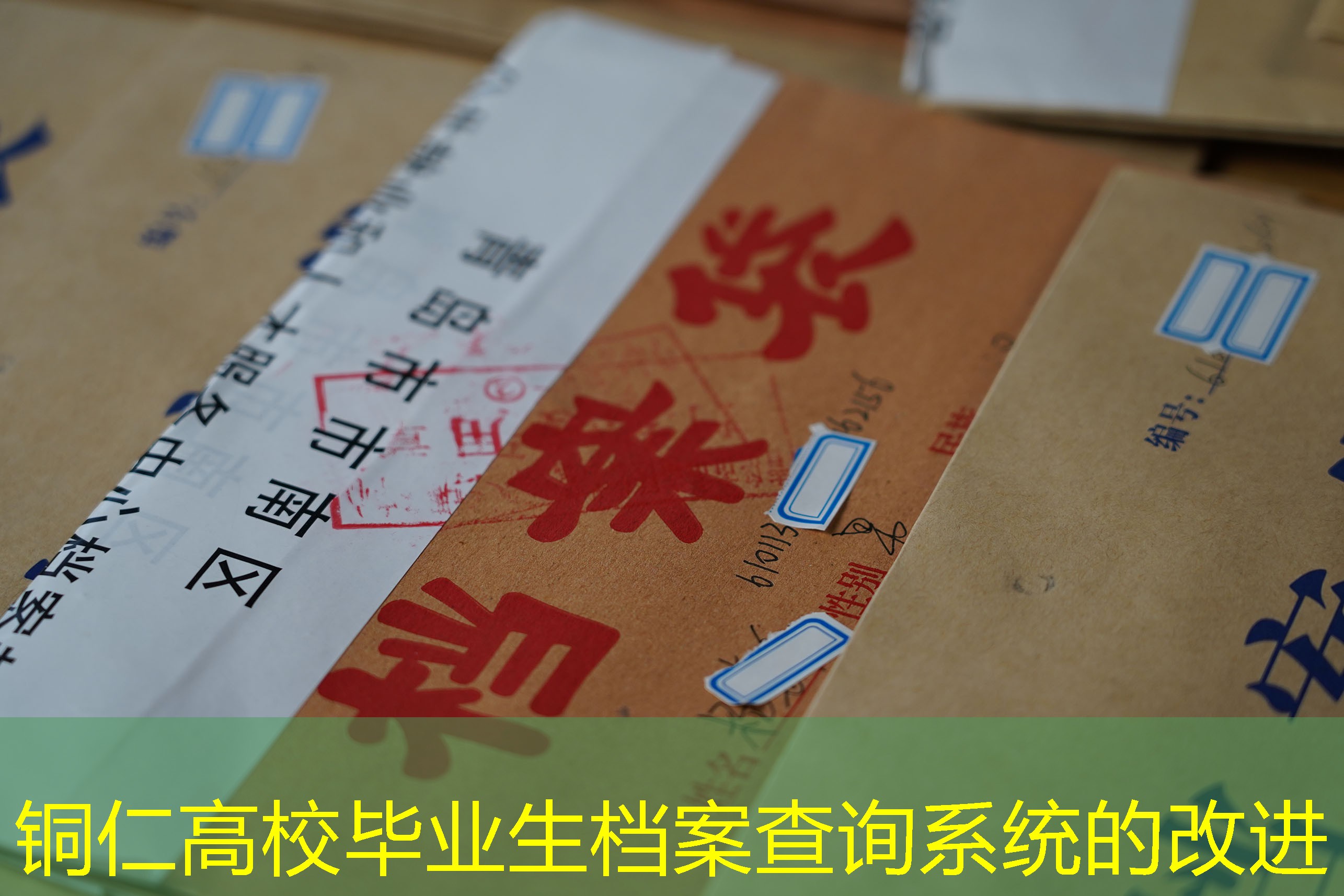 档案查询