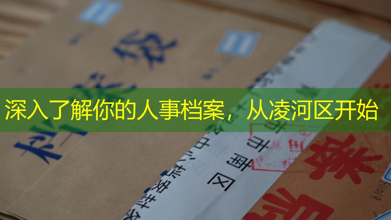 档案查询