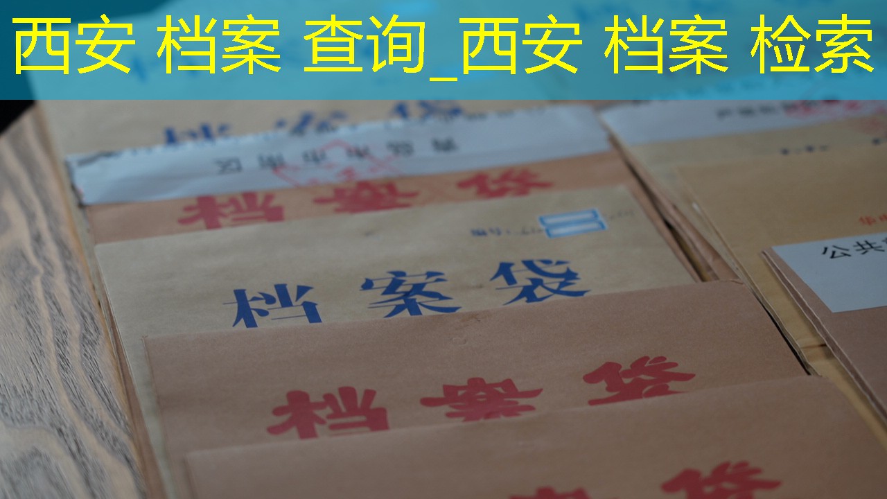 档案查询