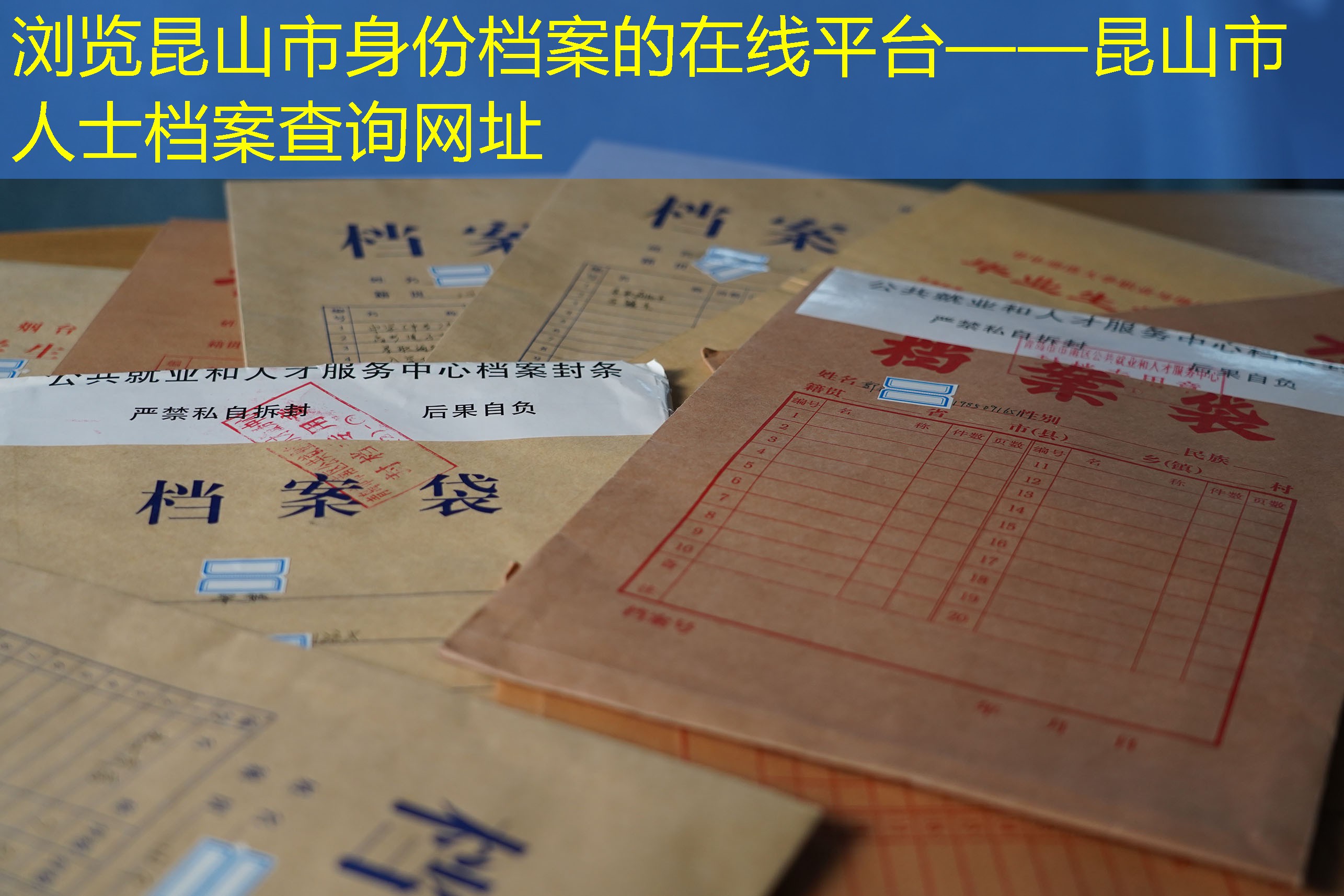 档案查询