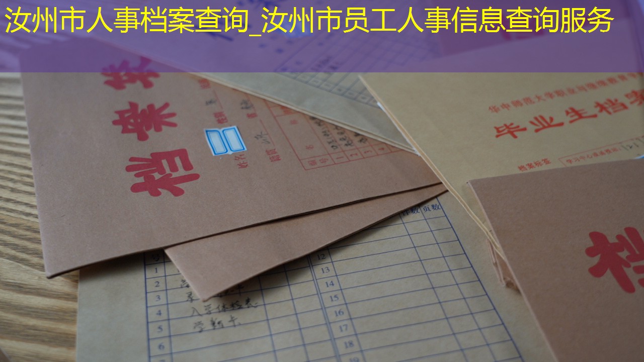 档案查询
