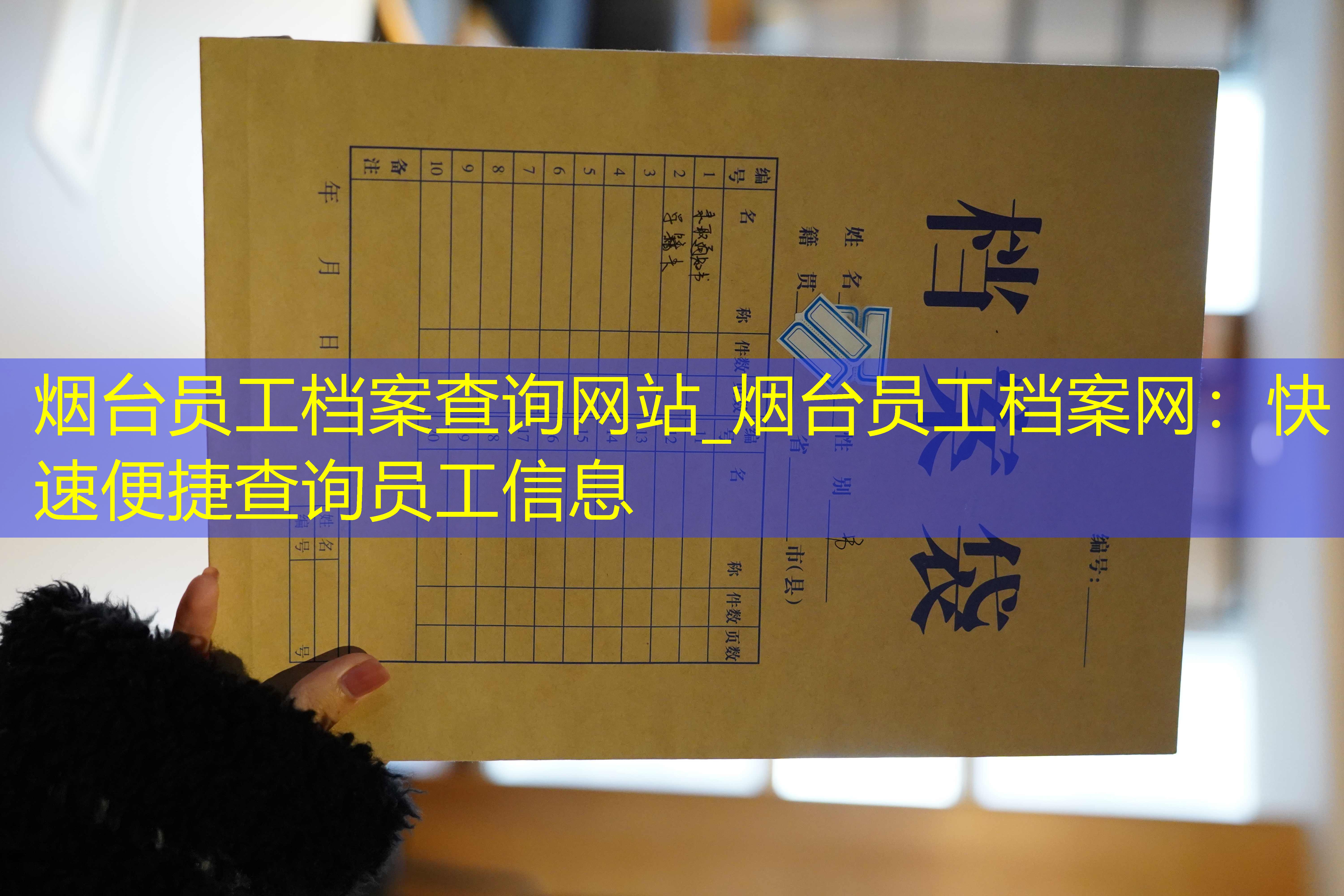 档案查询