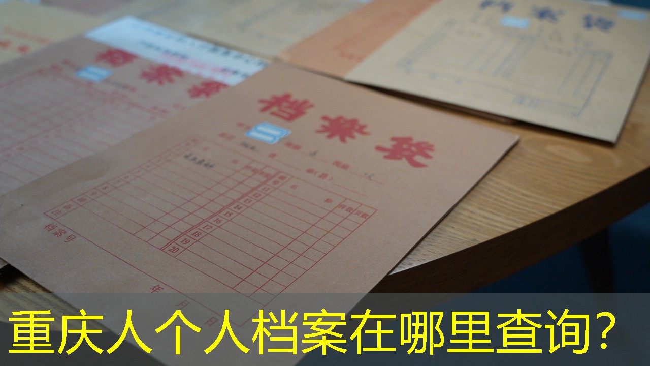 档案查询