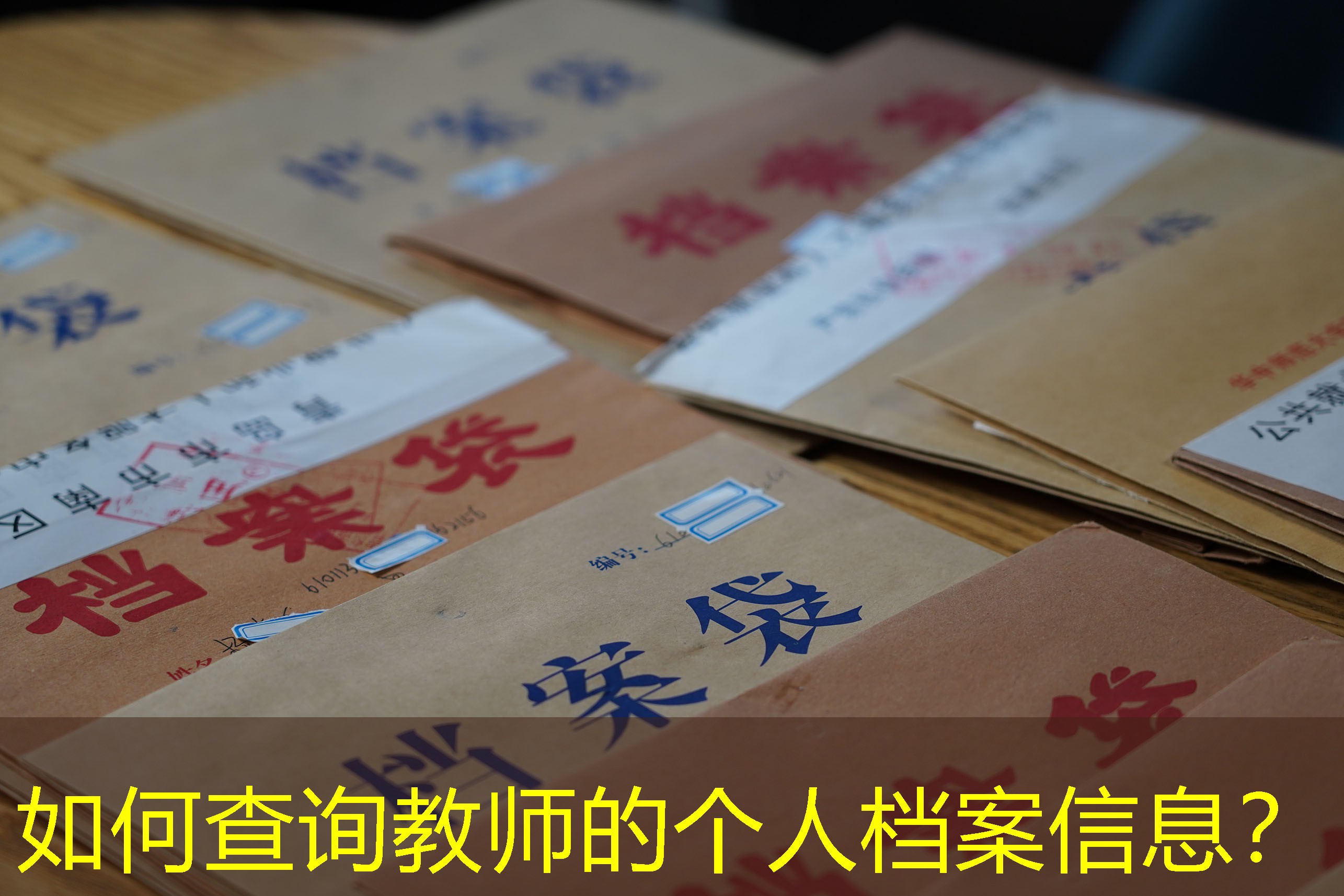 档案查询