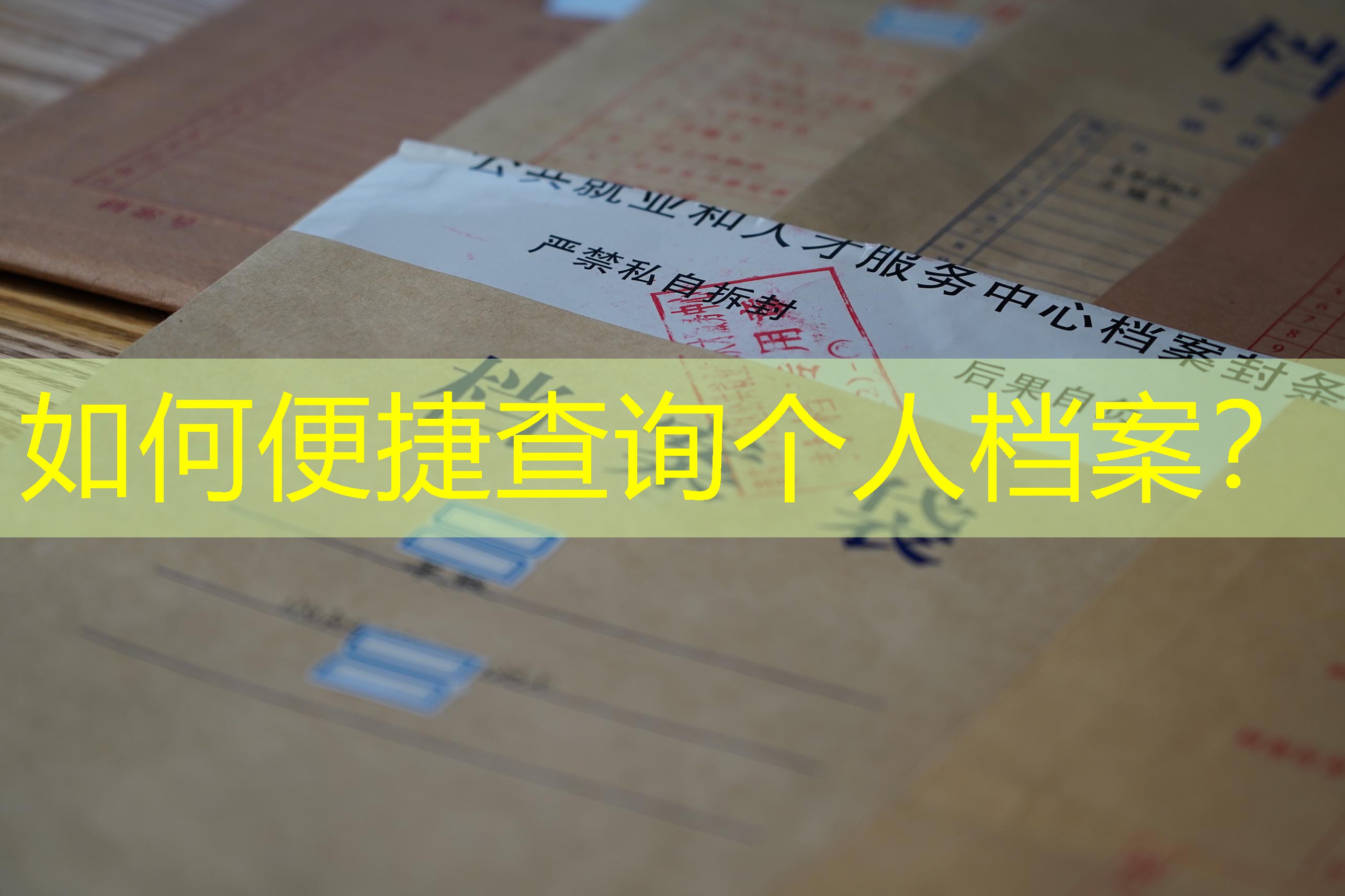 档案查询