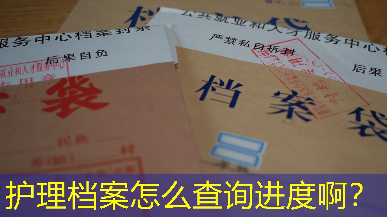 档案查询