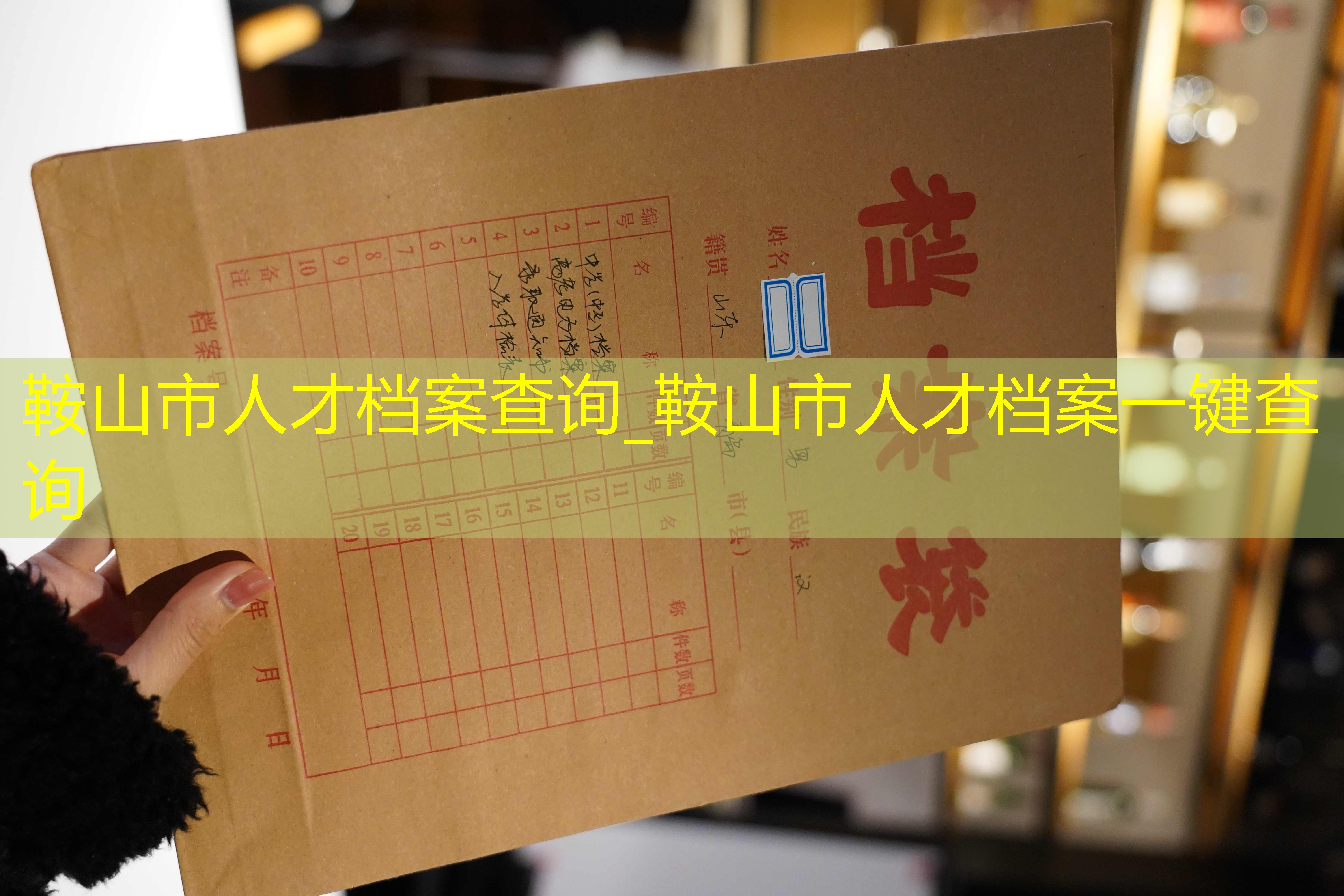 档案查询