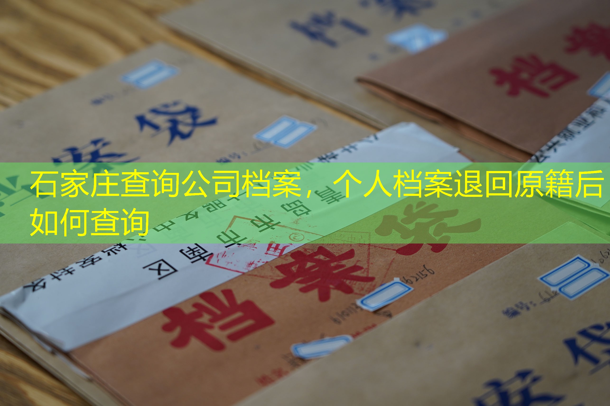档案查询