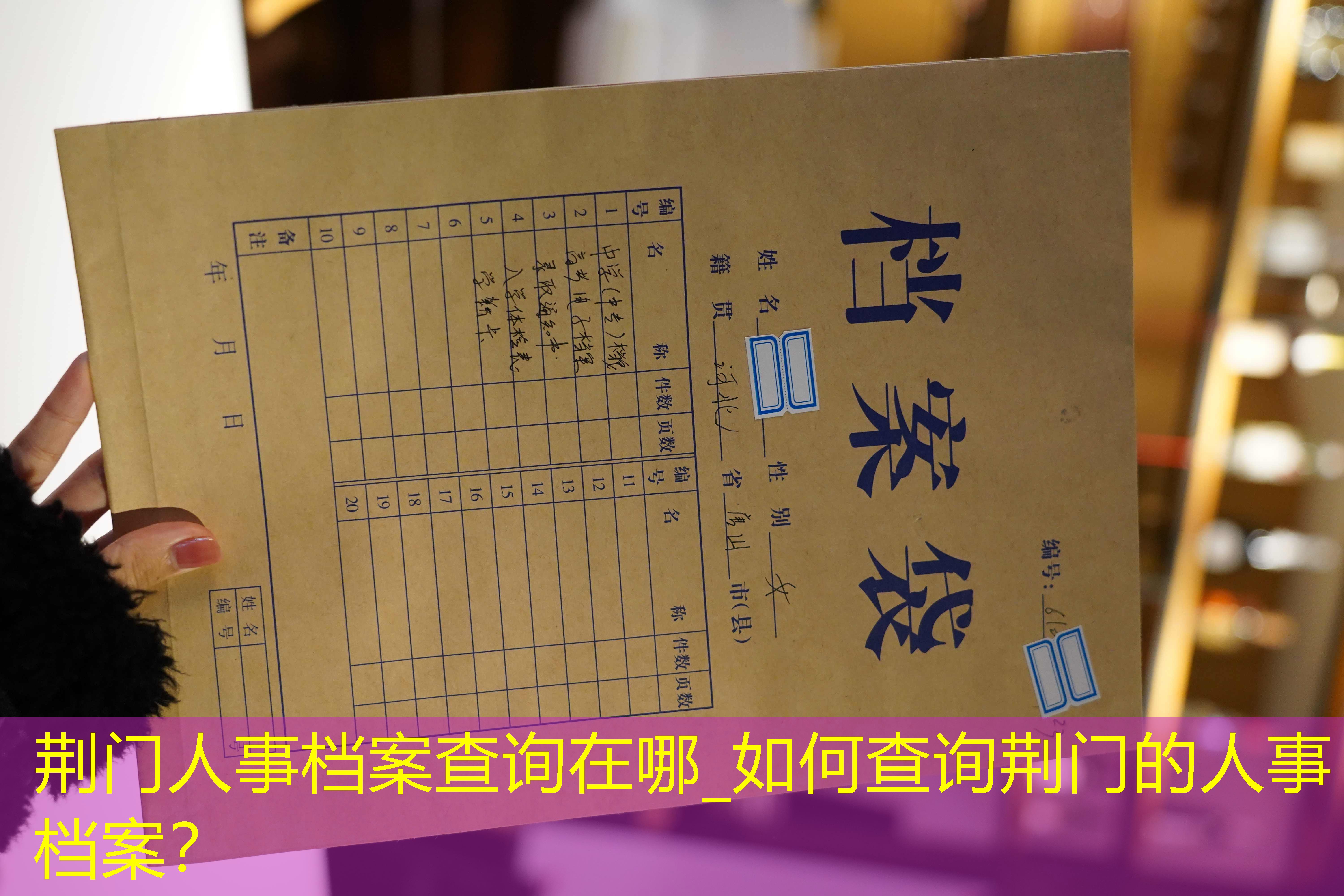 档案查询