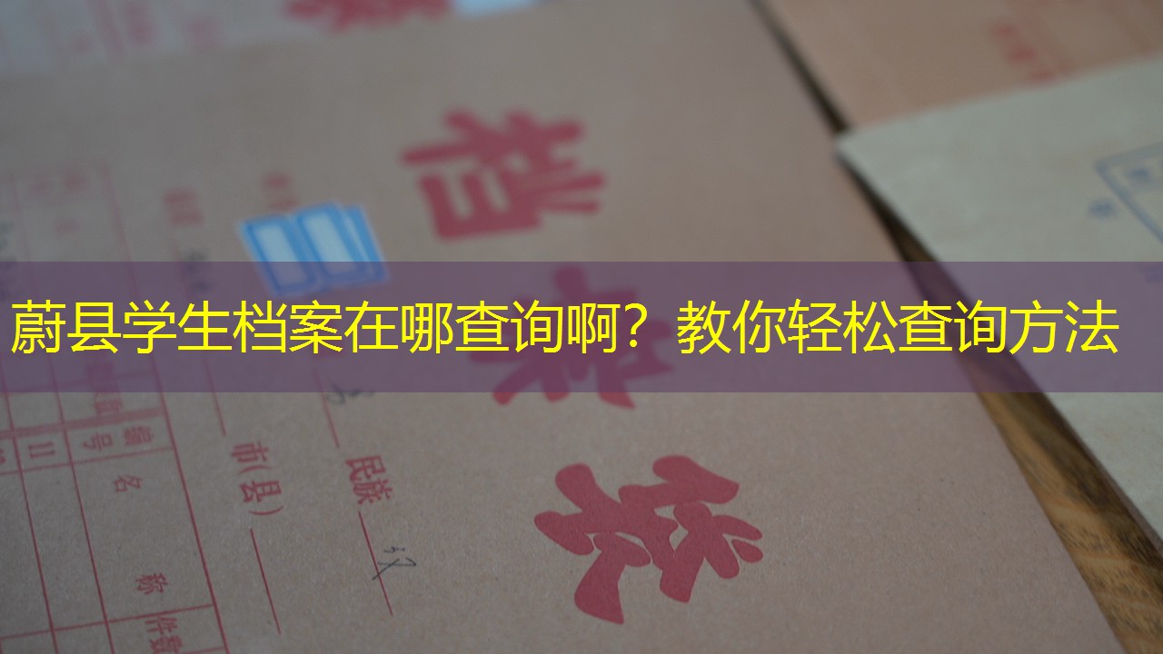 档案查询