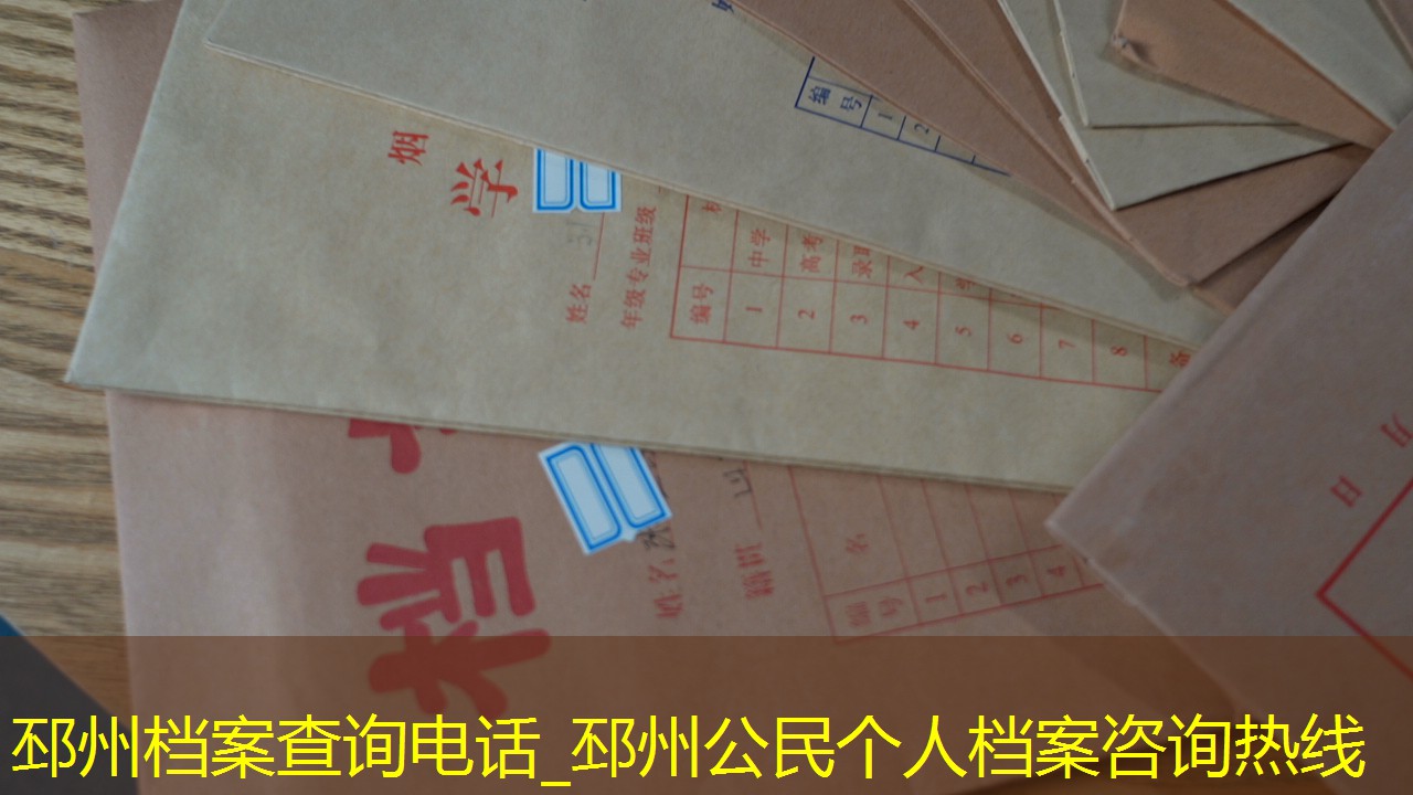 档案查询