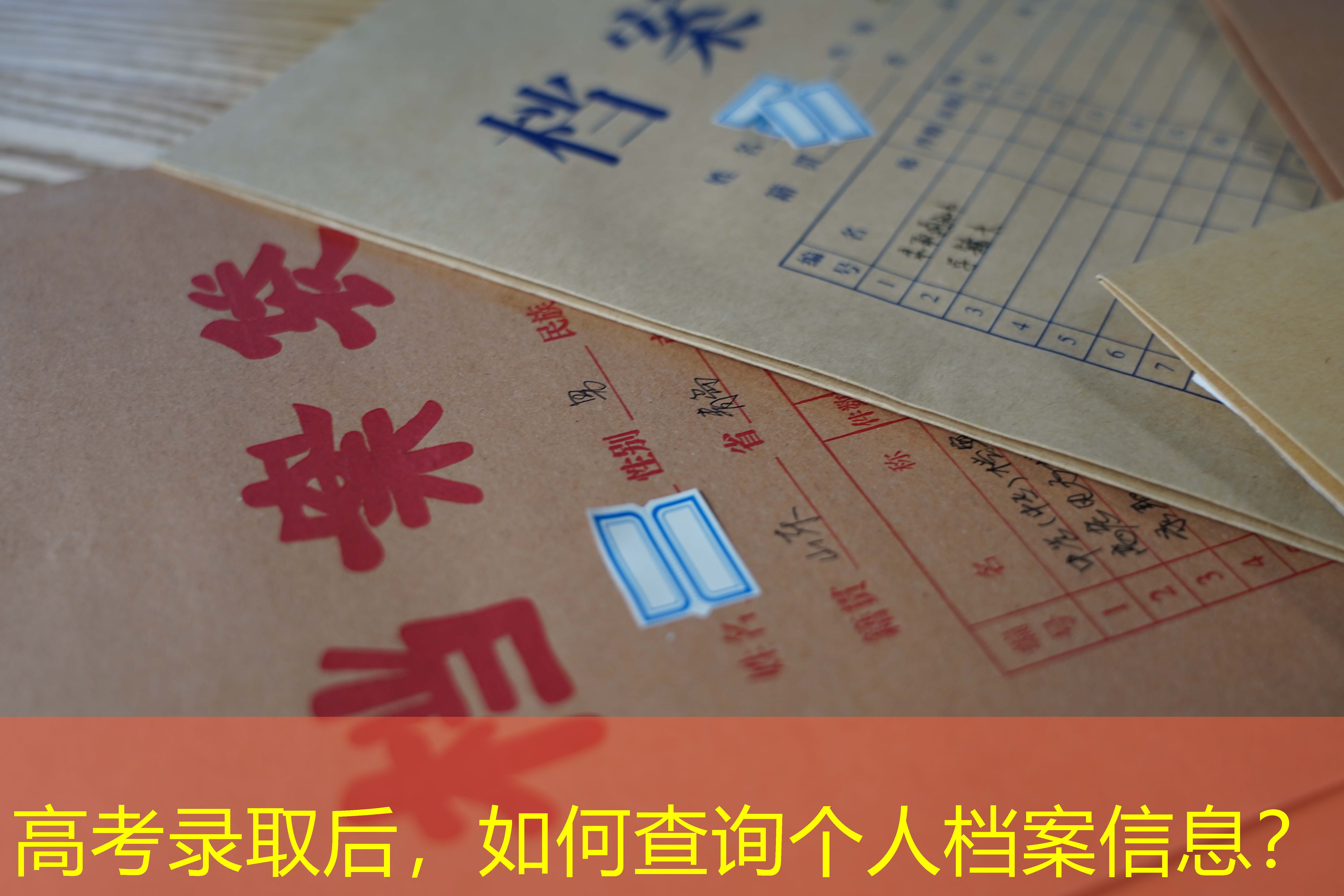档案查询