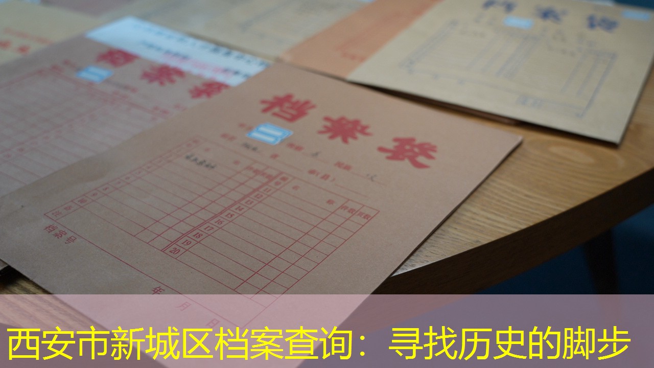 档案查询