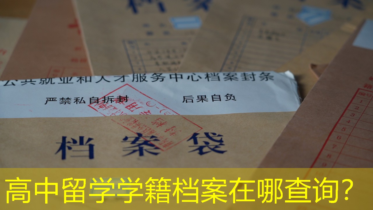 档案查询