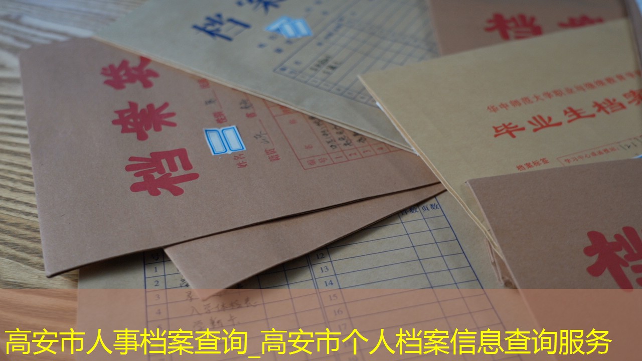 档案查询