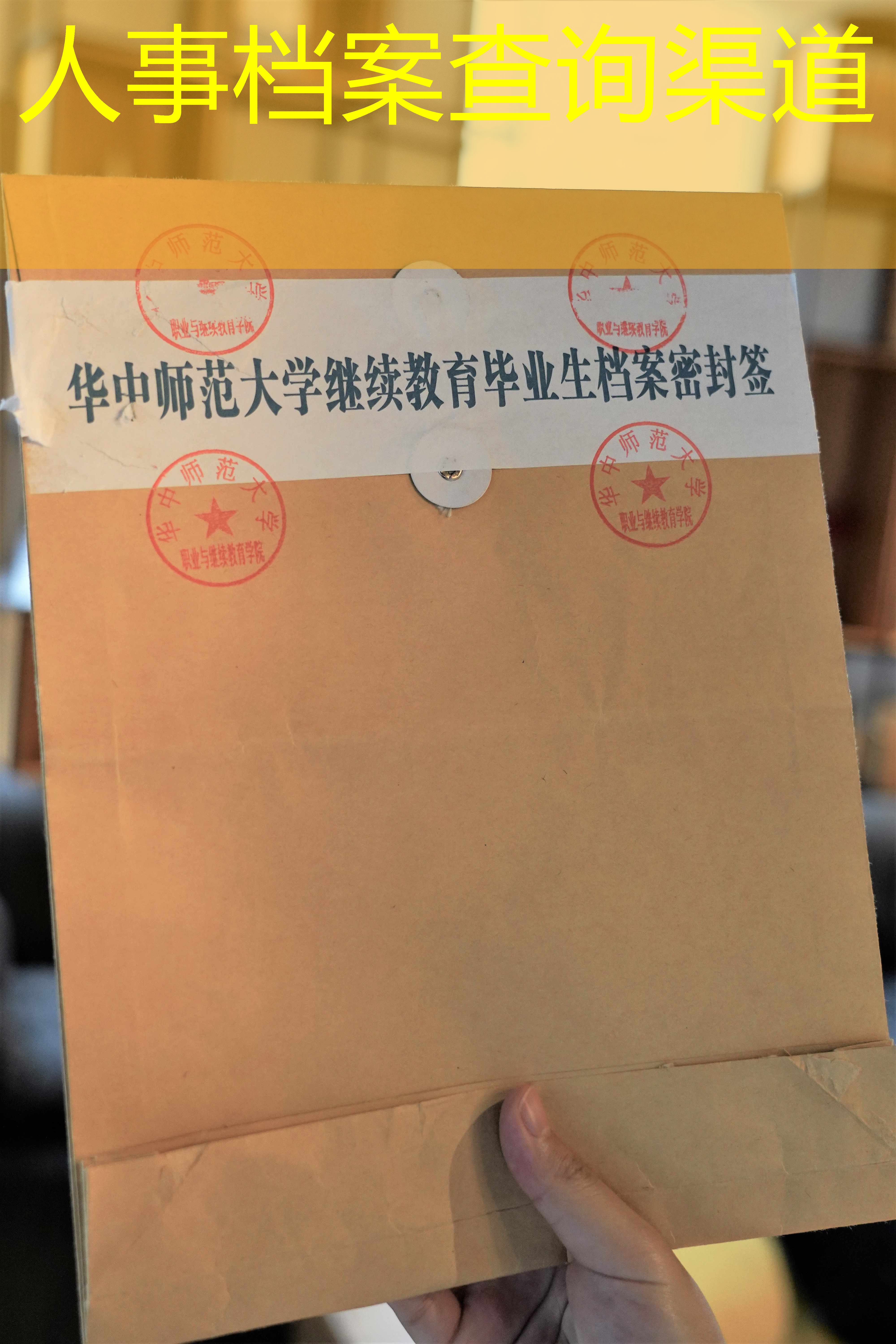 档案查询