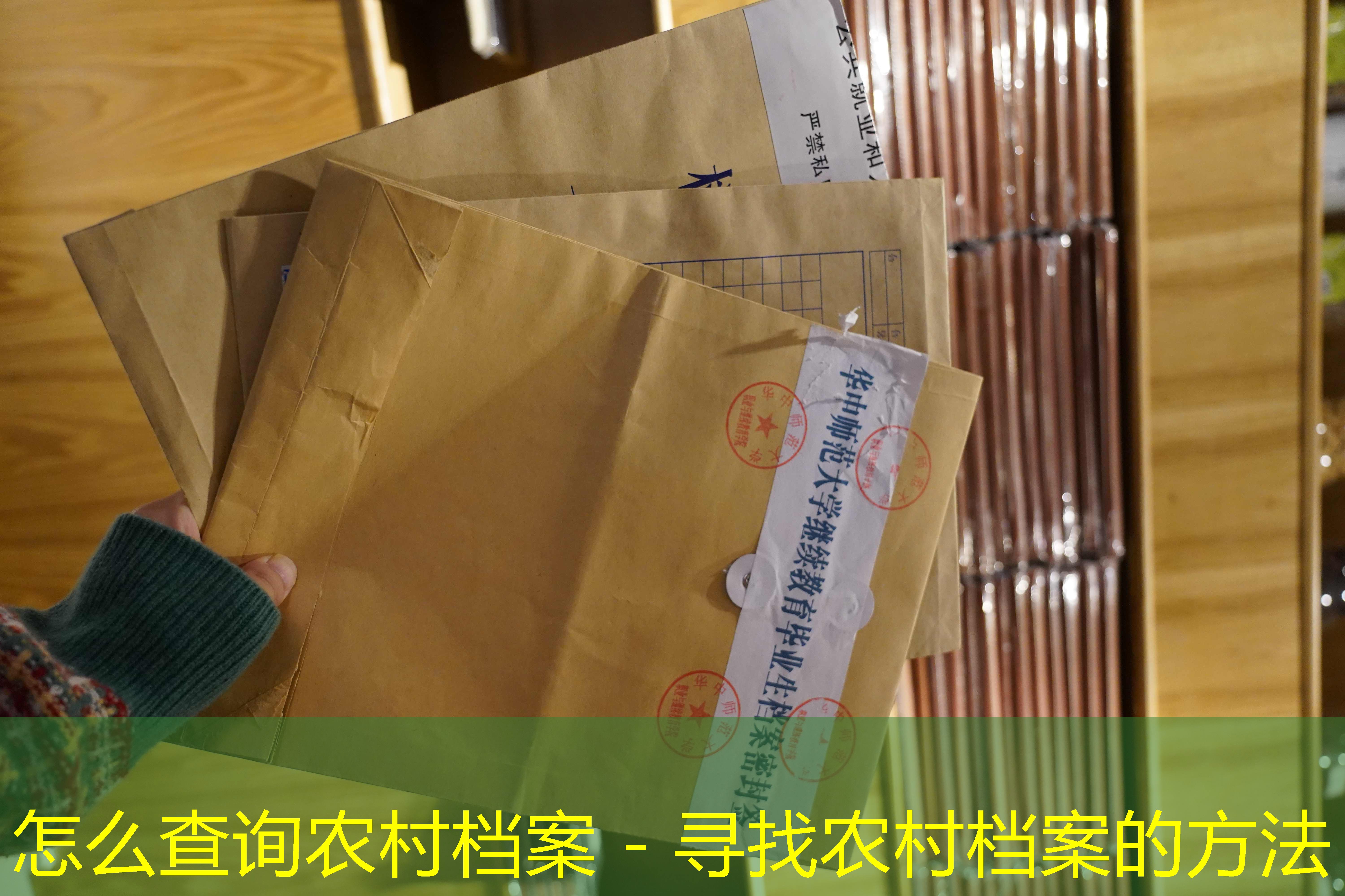 档案查询