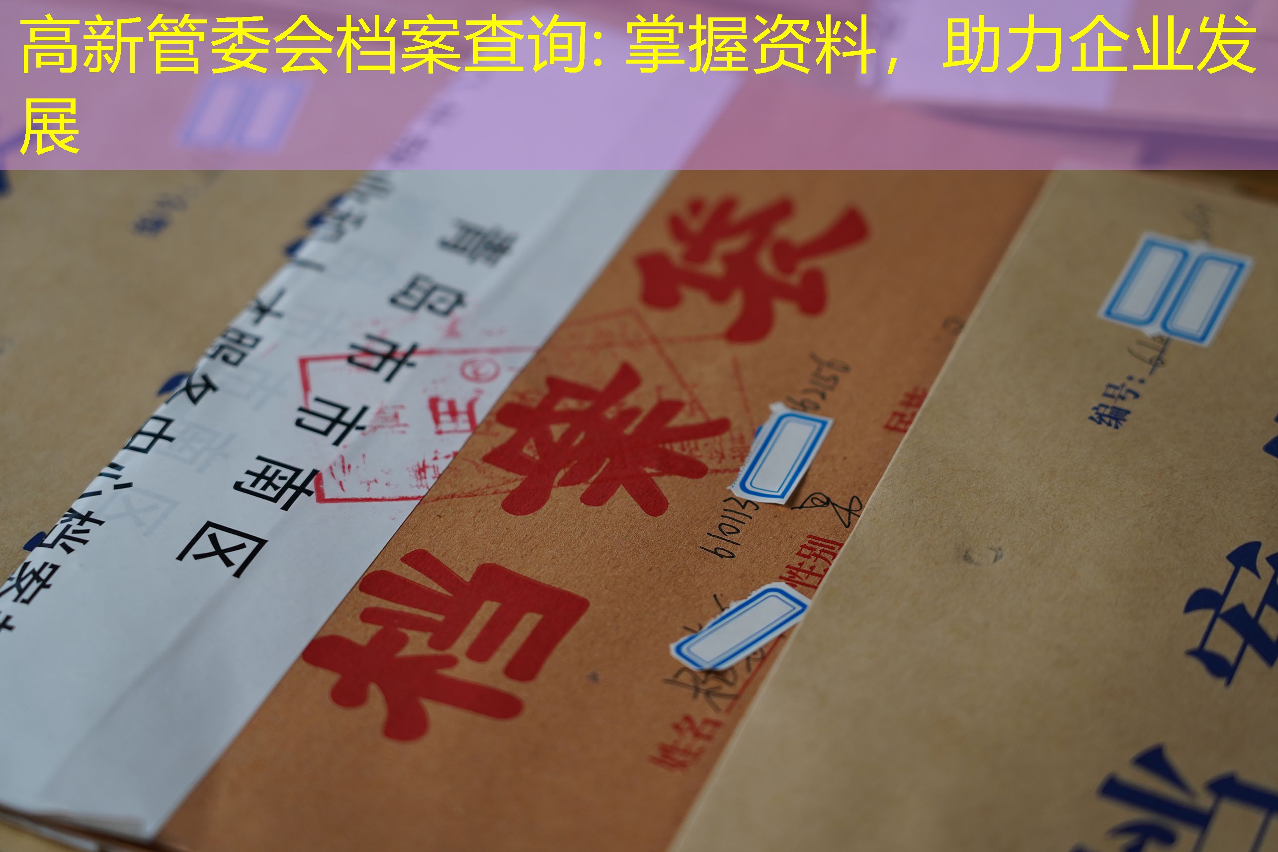档案查询