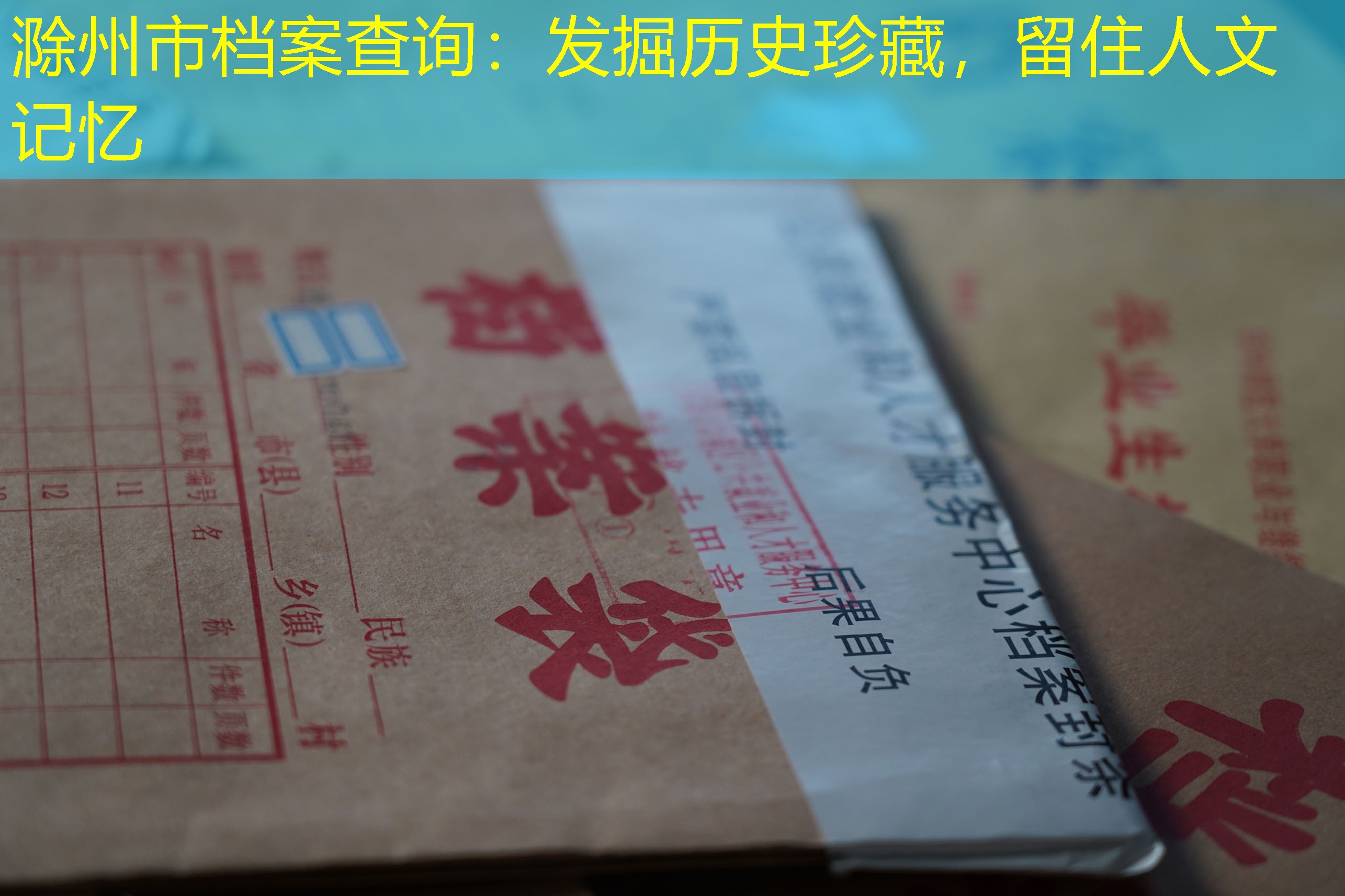 档案查询