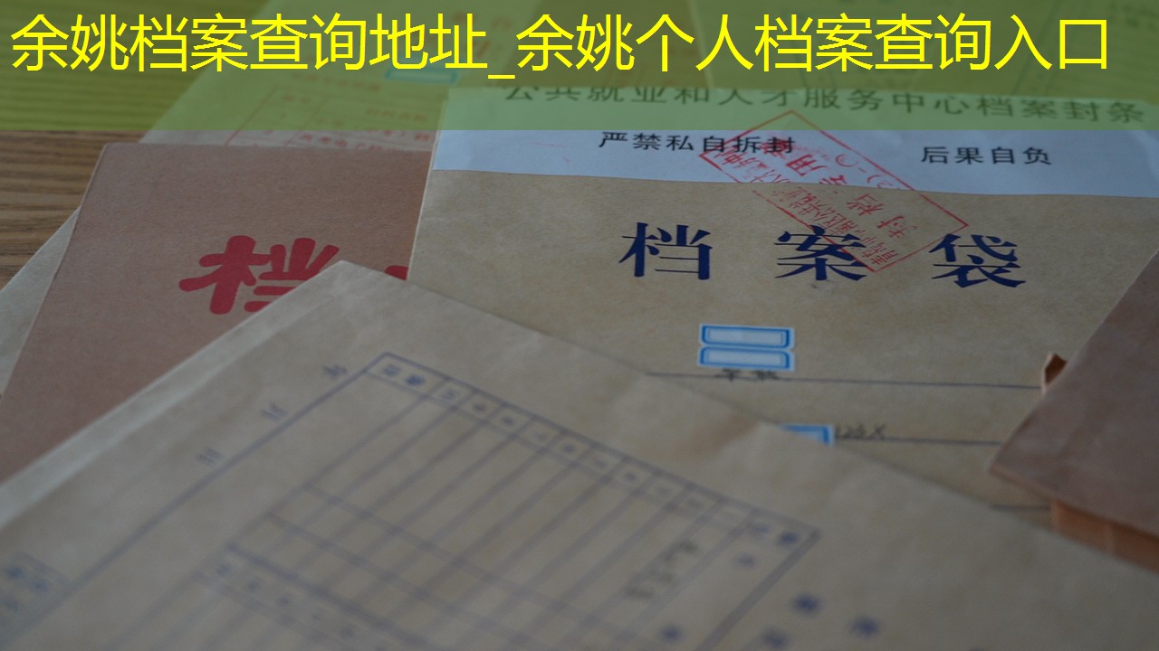 档案查询