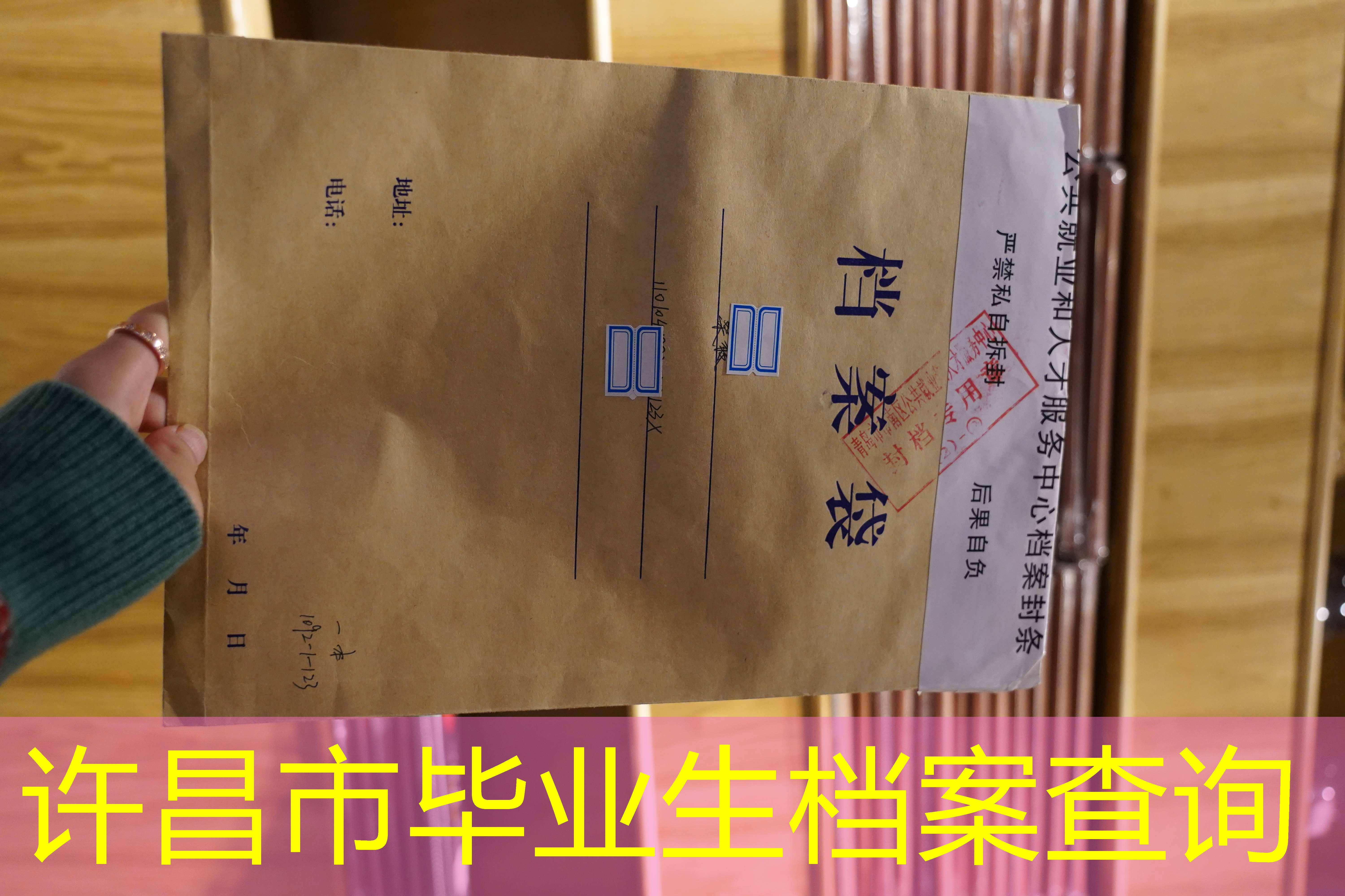 档案查询