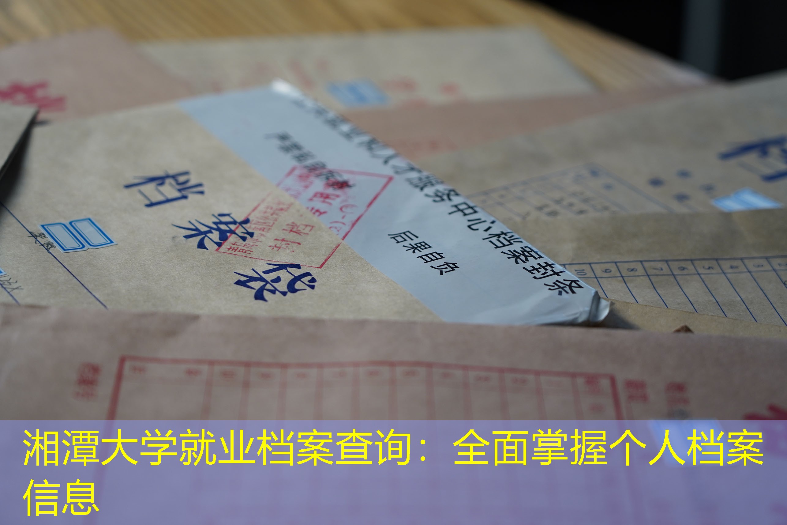 档案查询