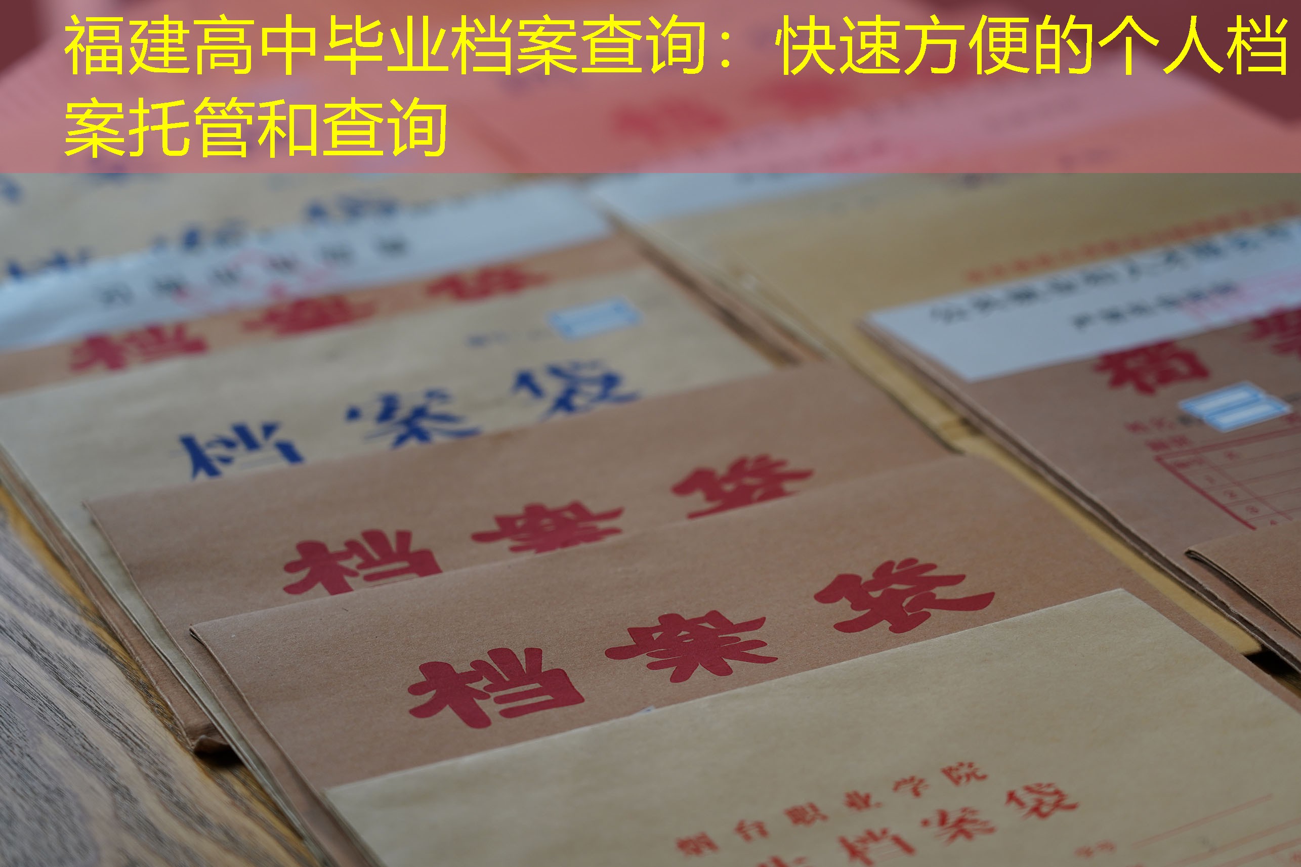 档案查询