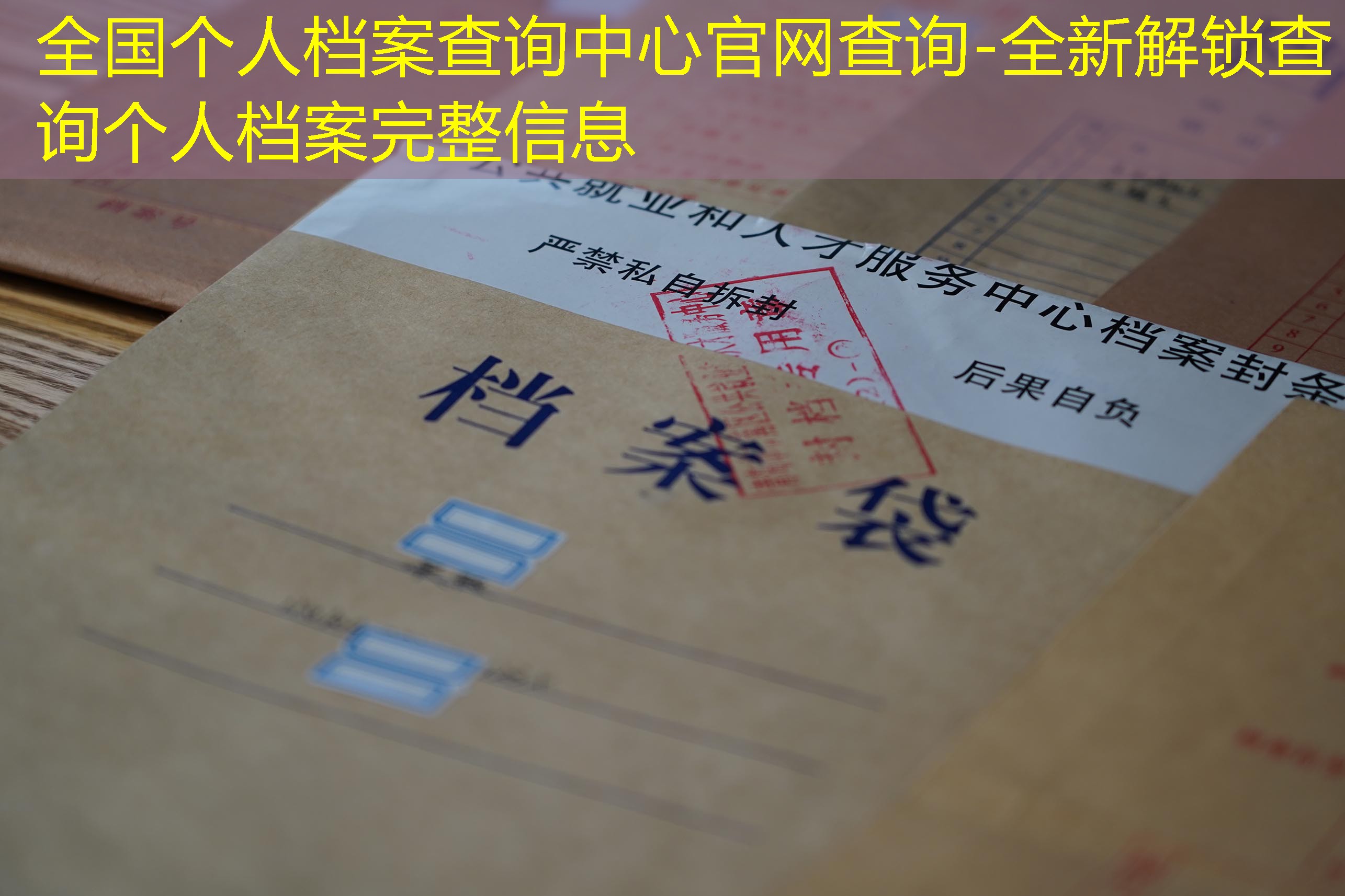档案查询