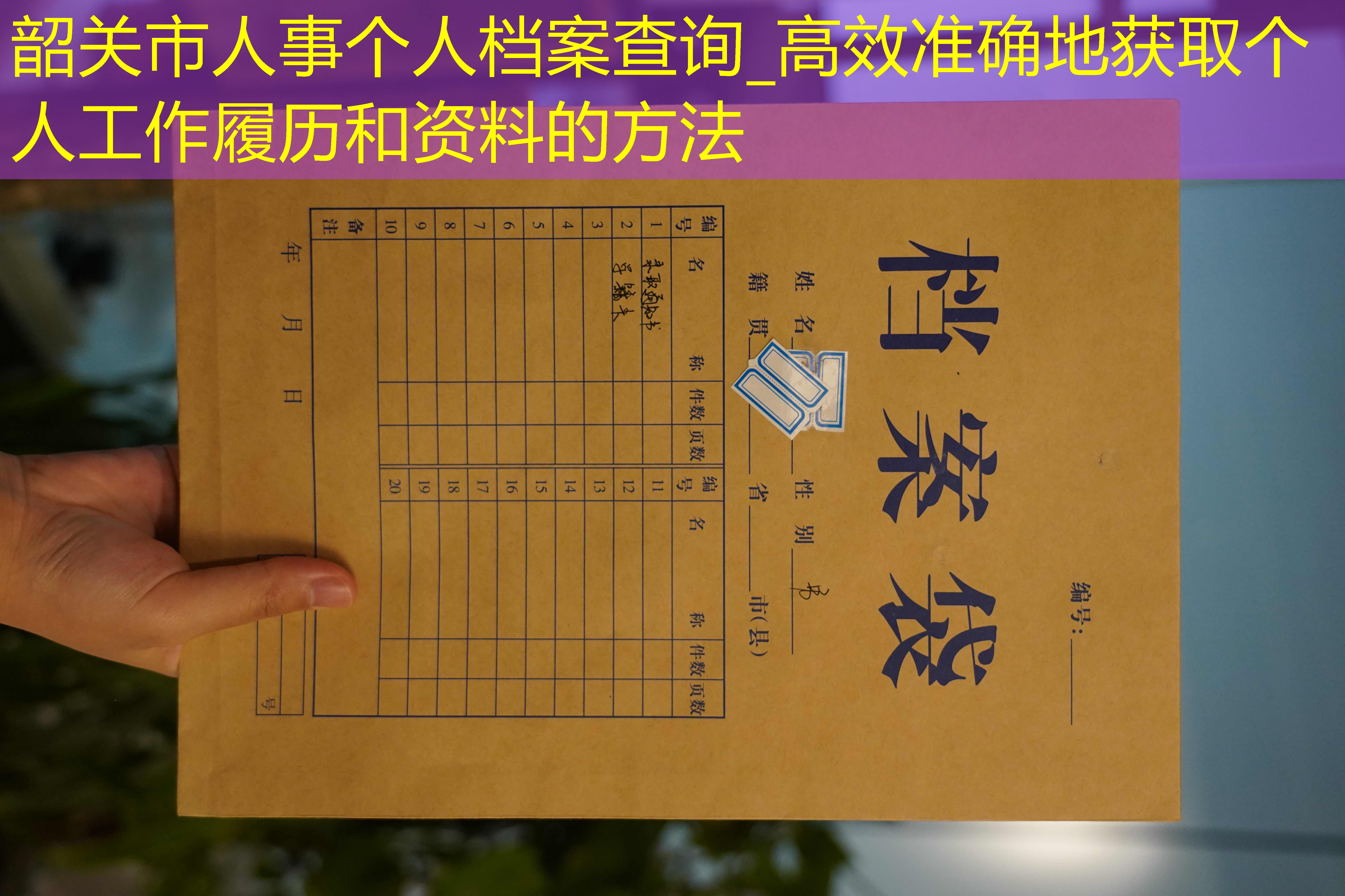 档案查询