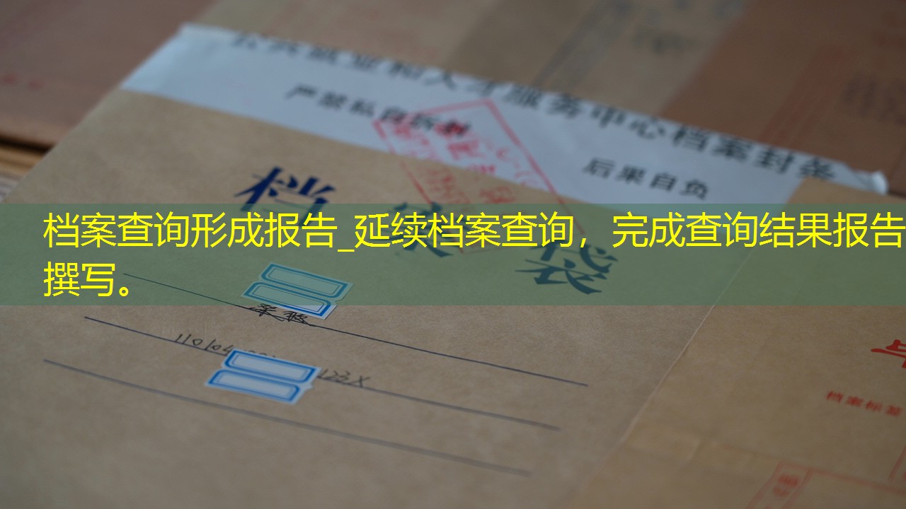 档案查询