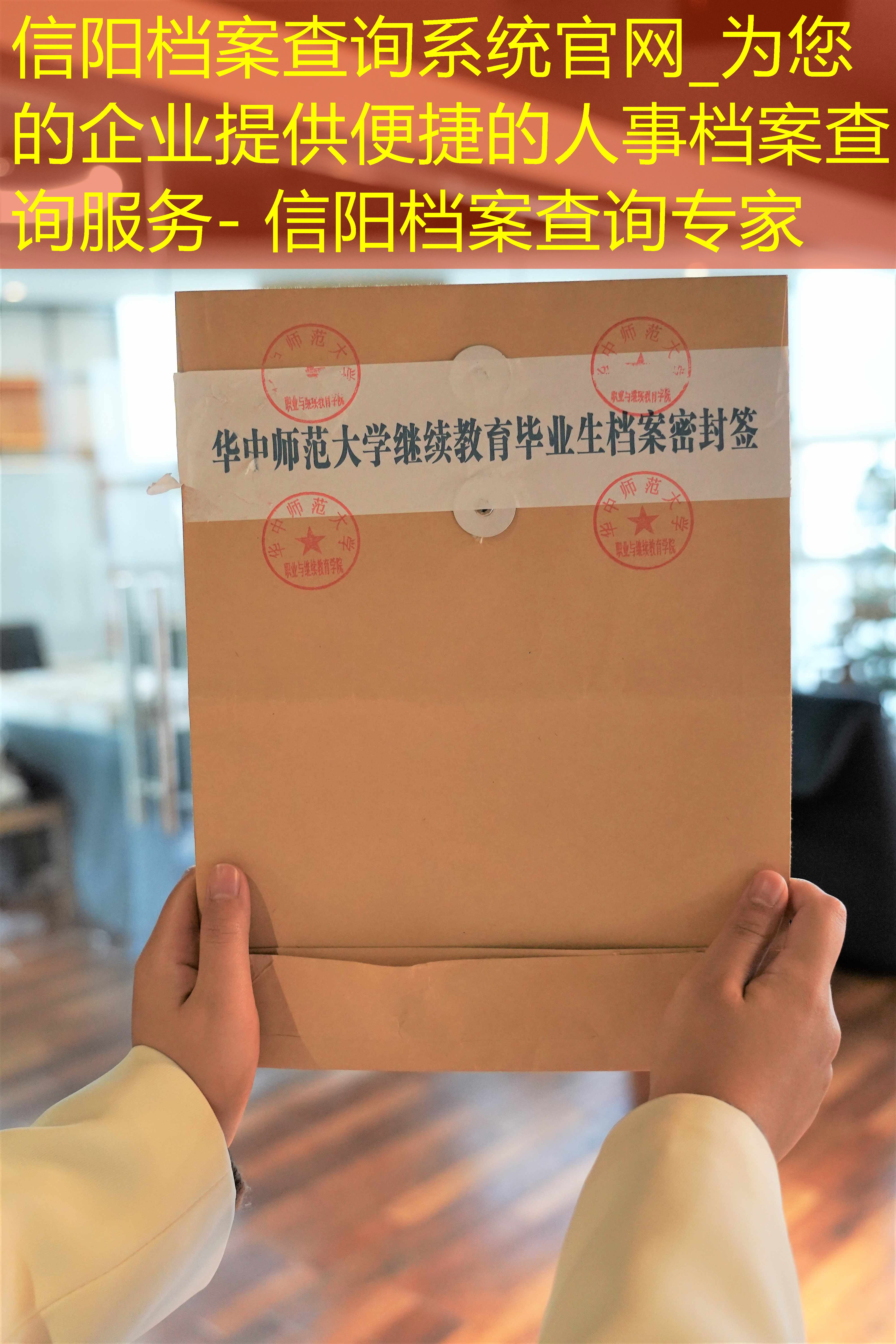 档案查询