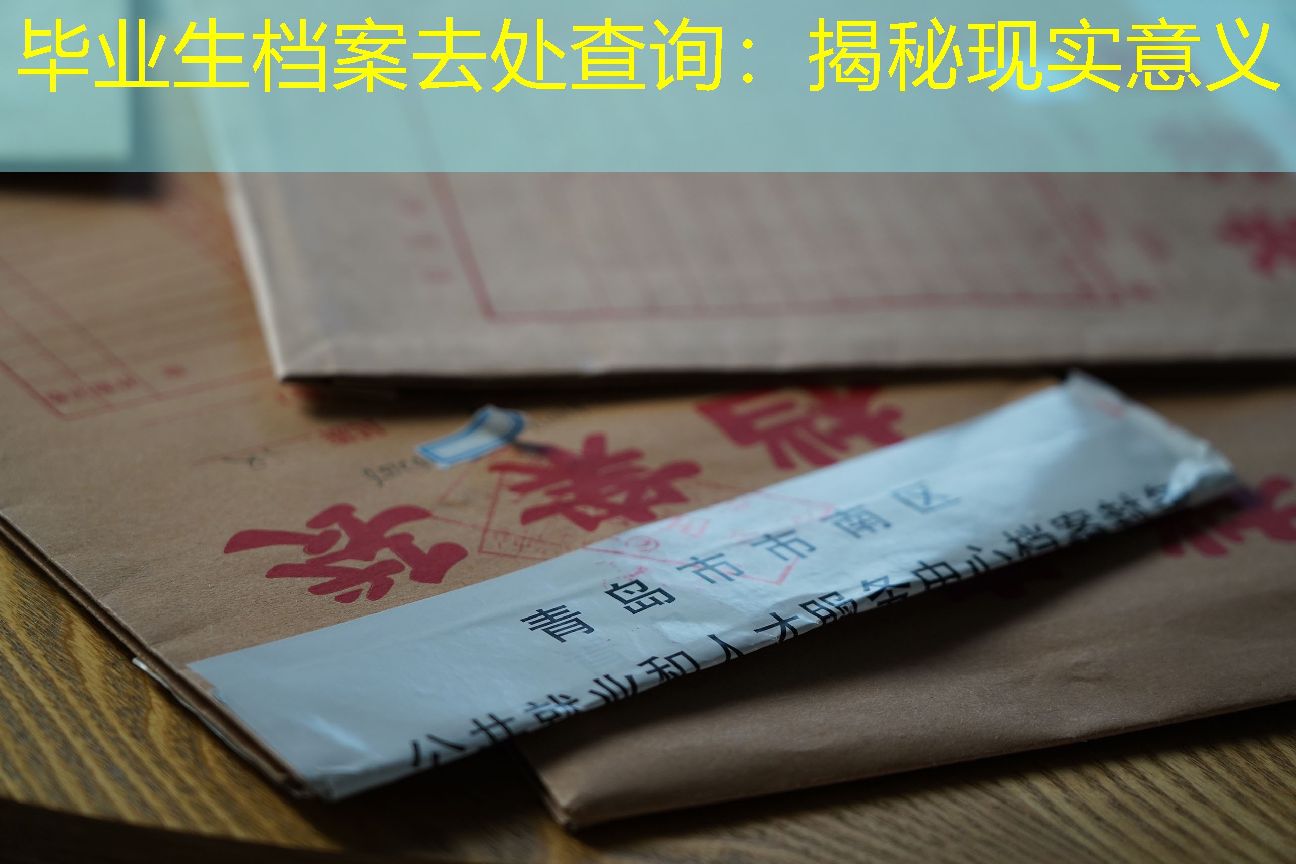 档案查询