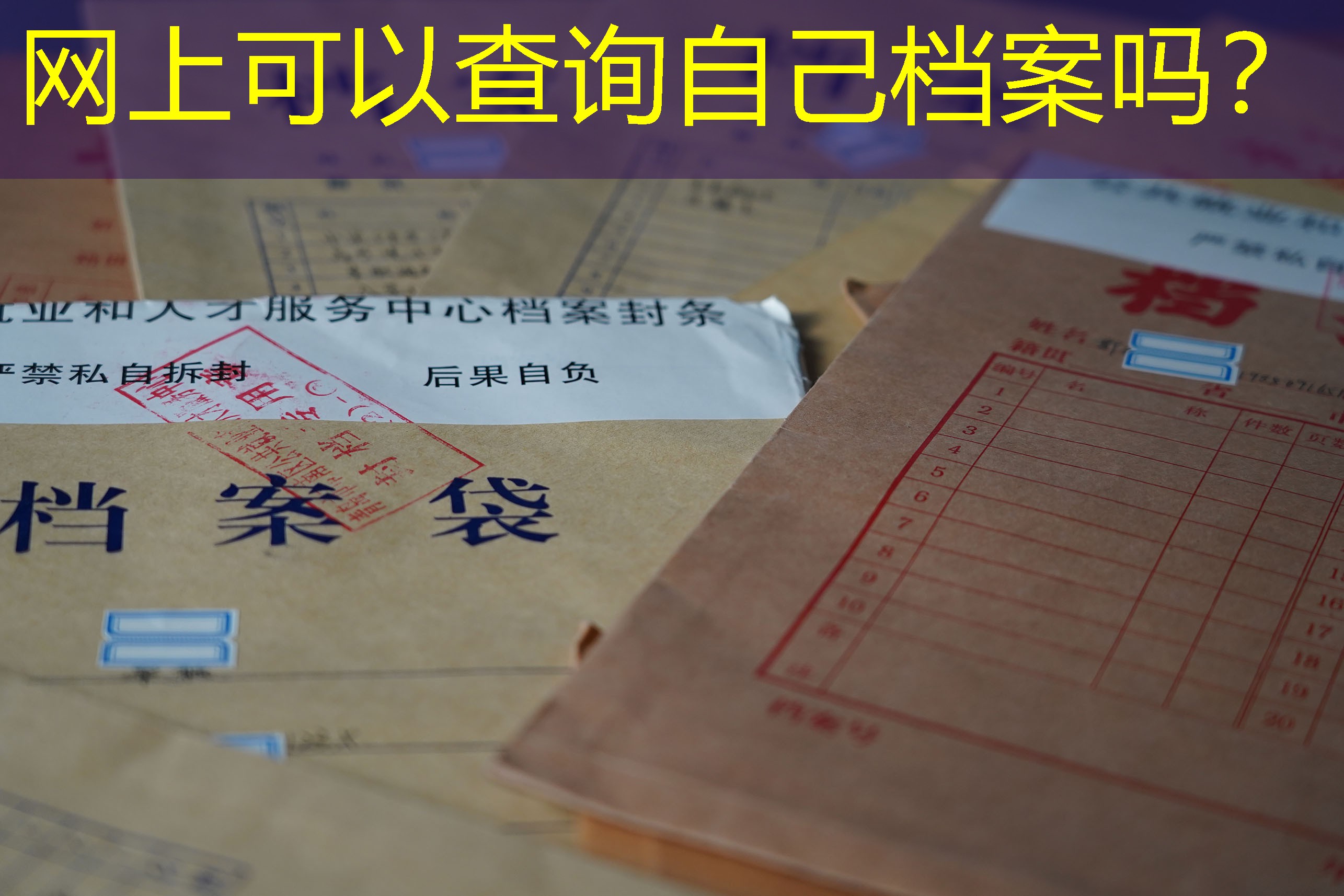 档案查询