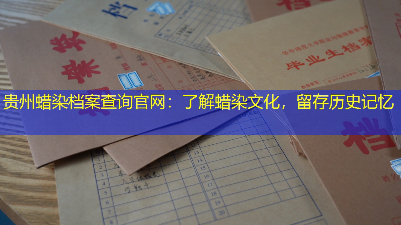 档案查询