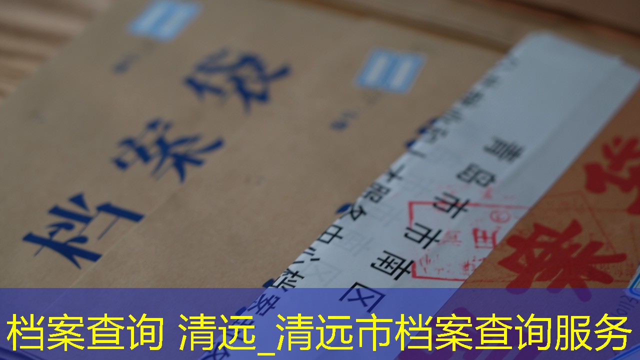 档案查询