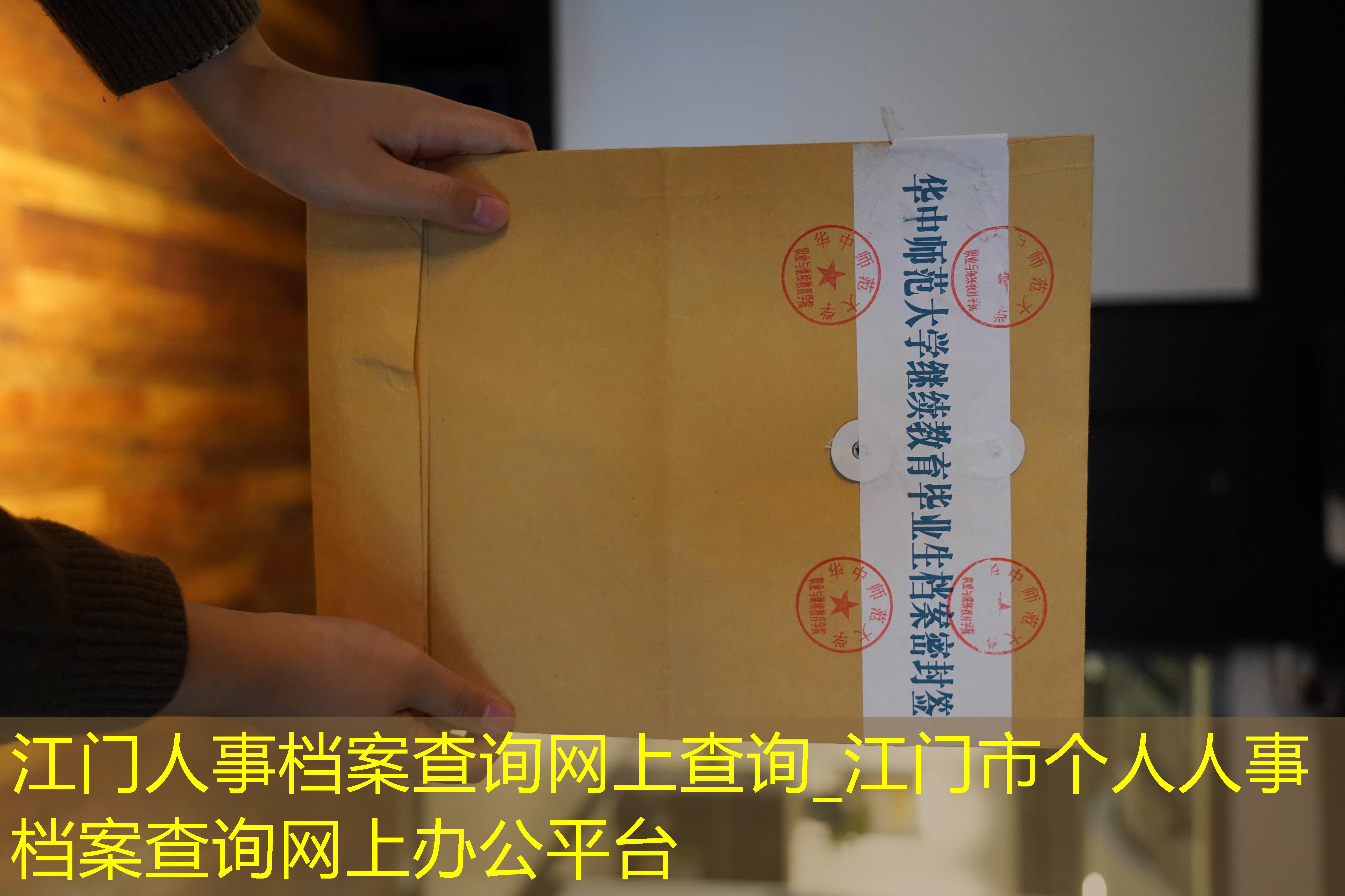 档案查询