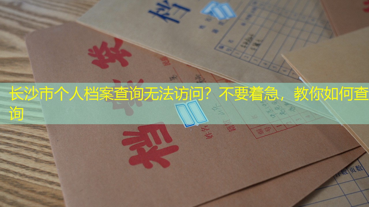 档案查询