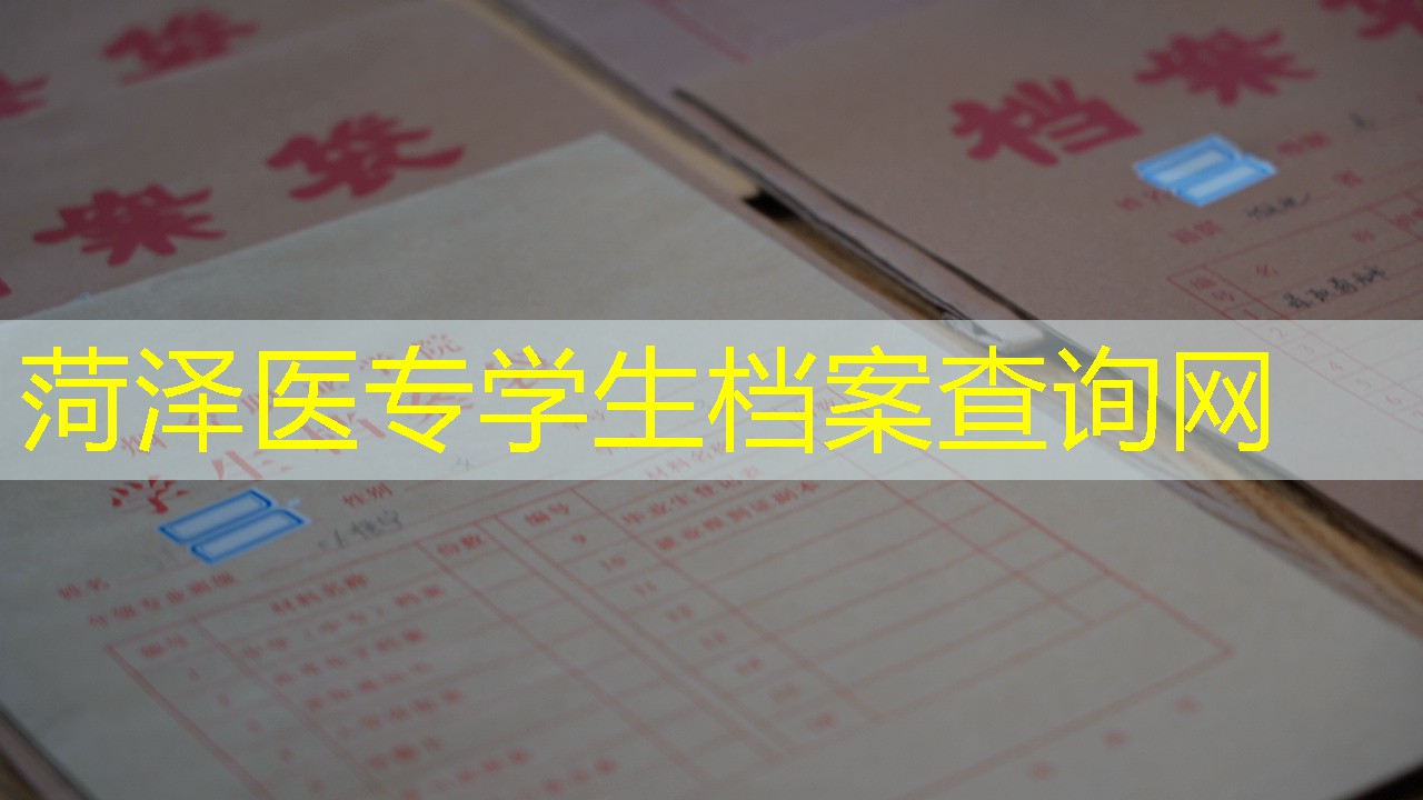 档案查询