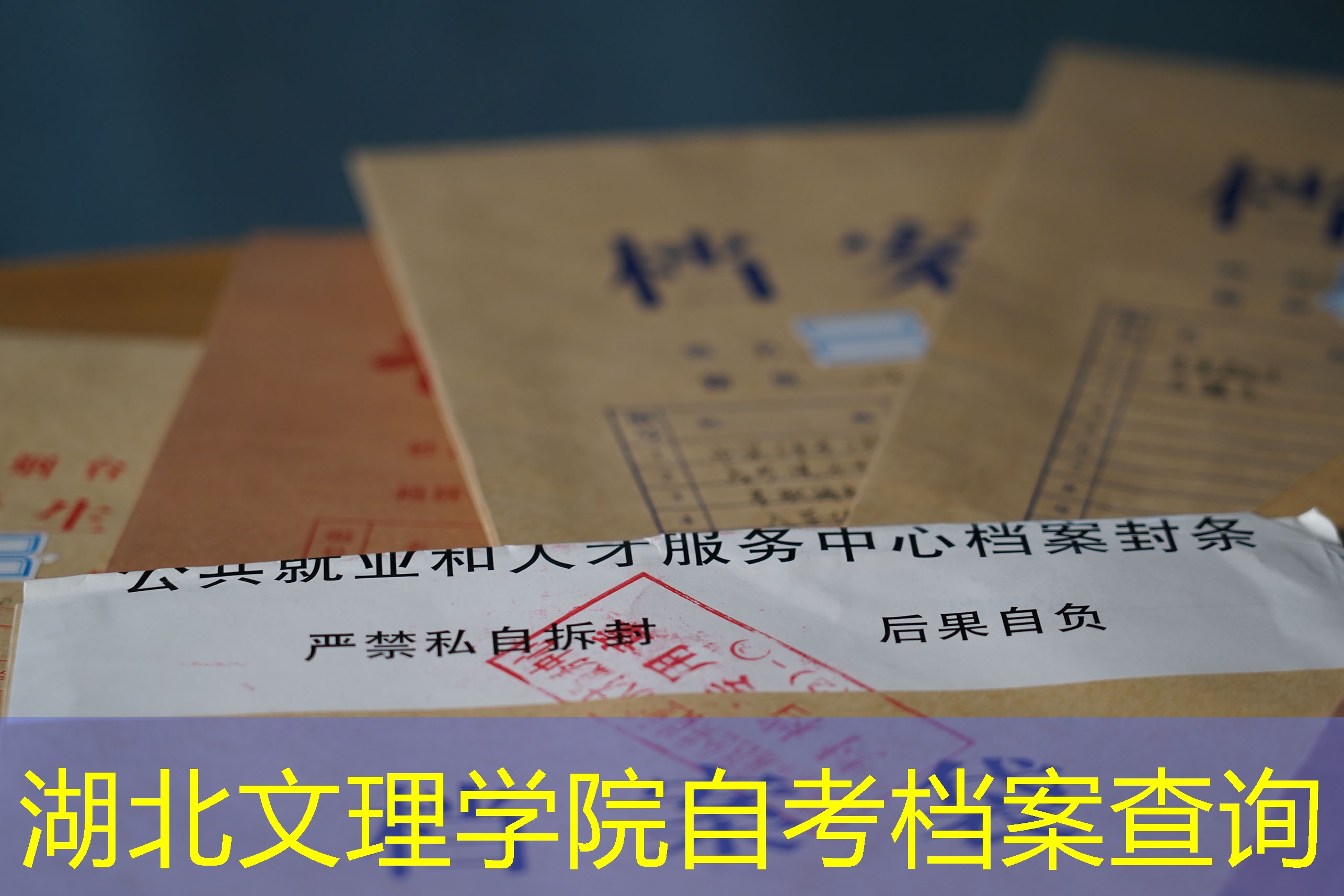 档案查询