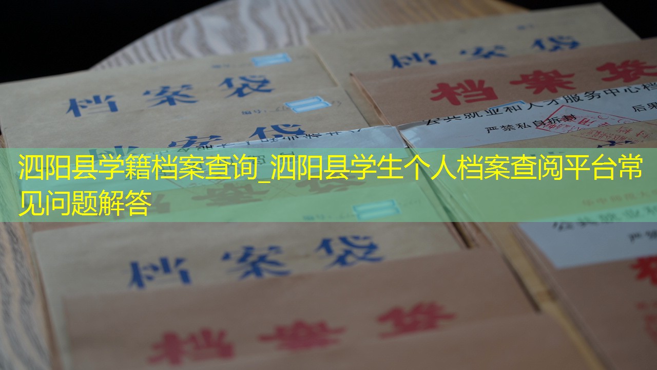 档案查询
