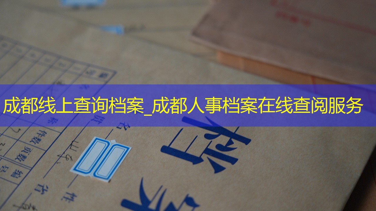 档案查询