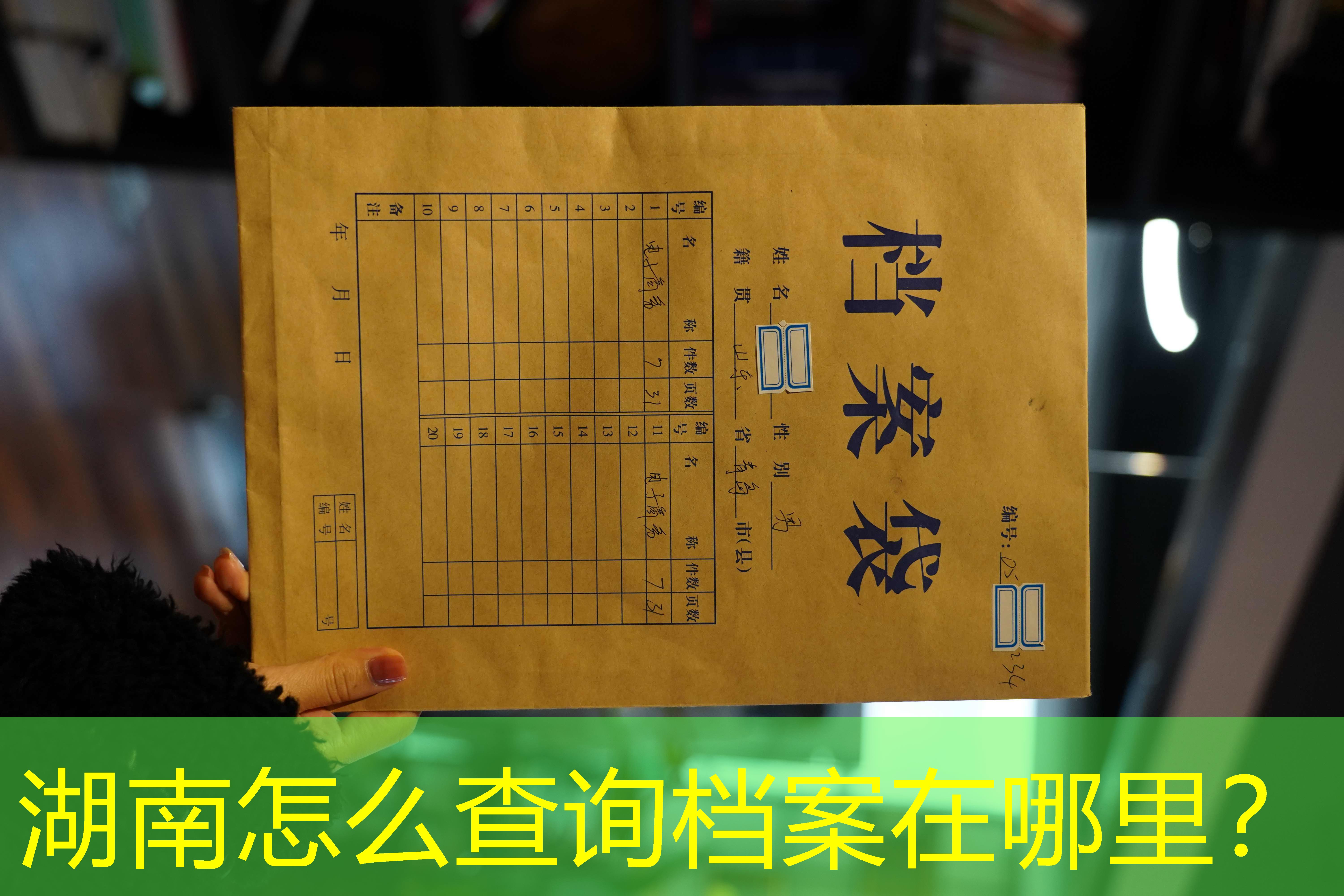 档案查询