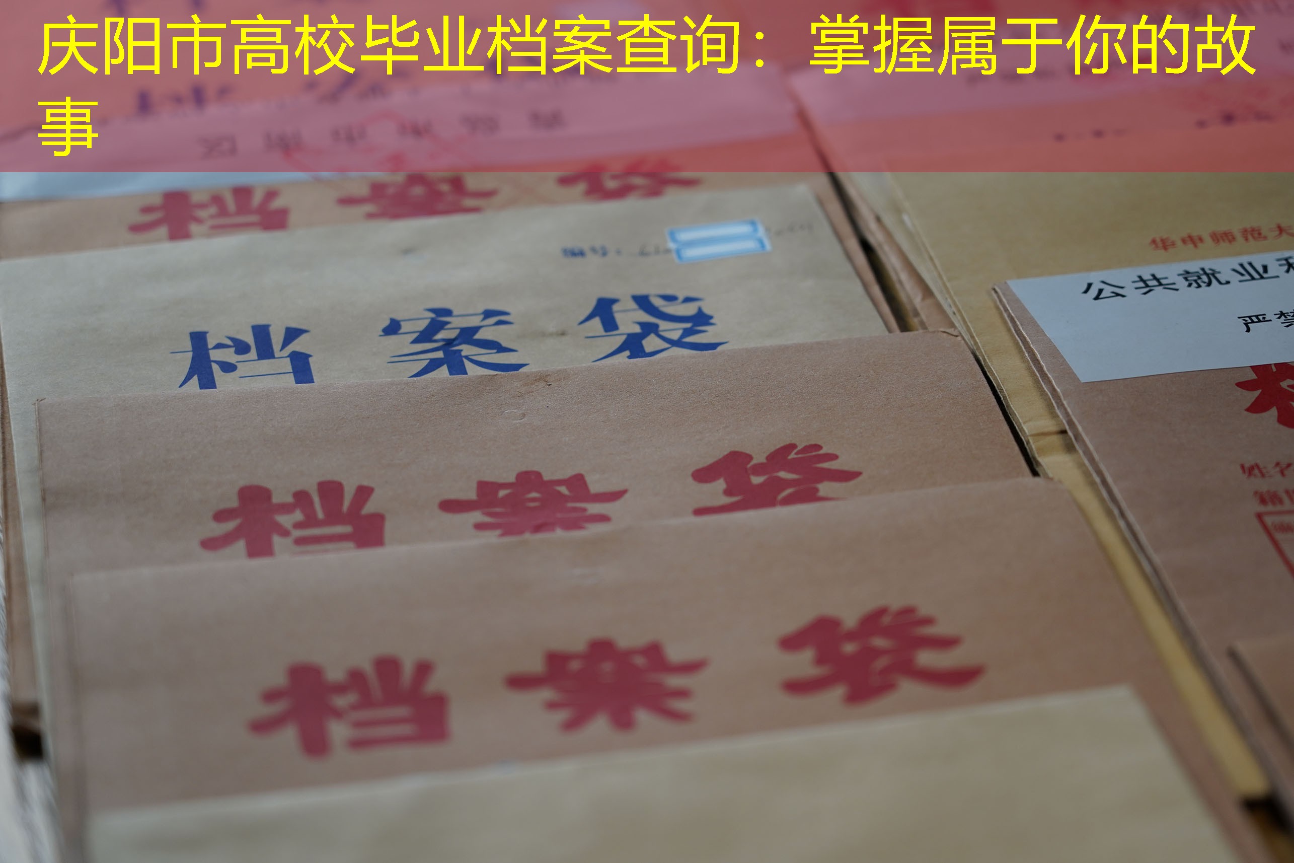 档案查询