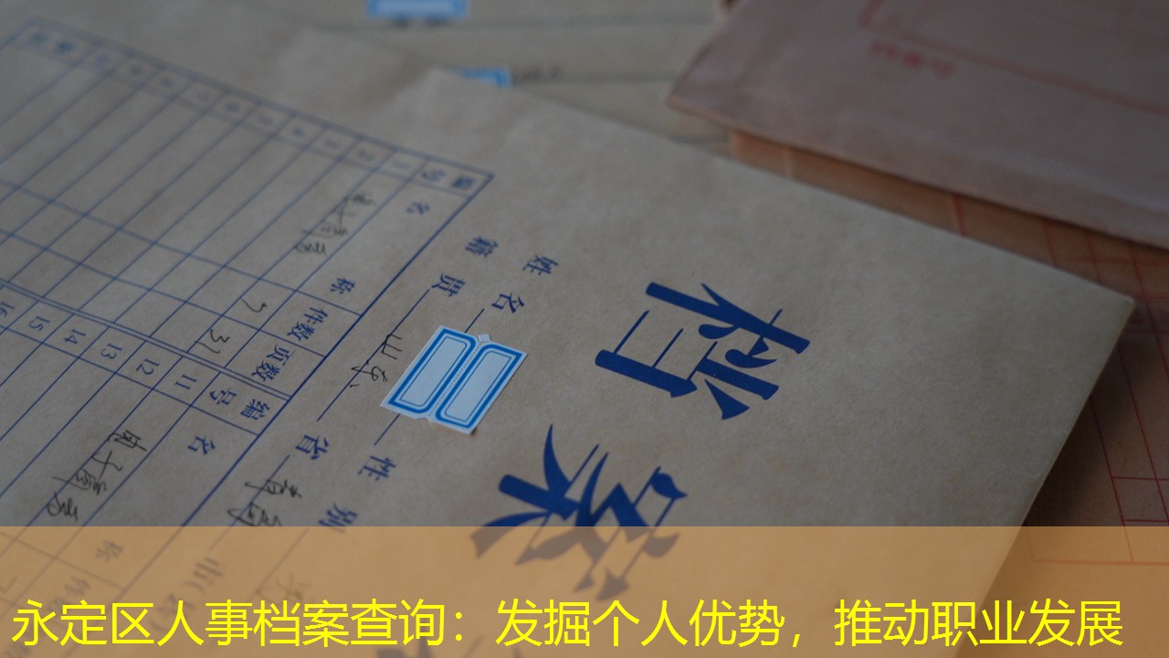 档案查询