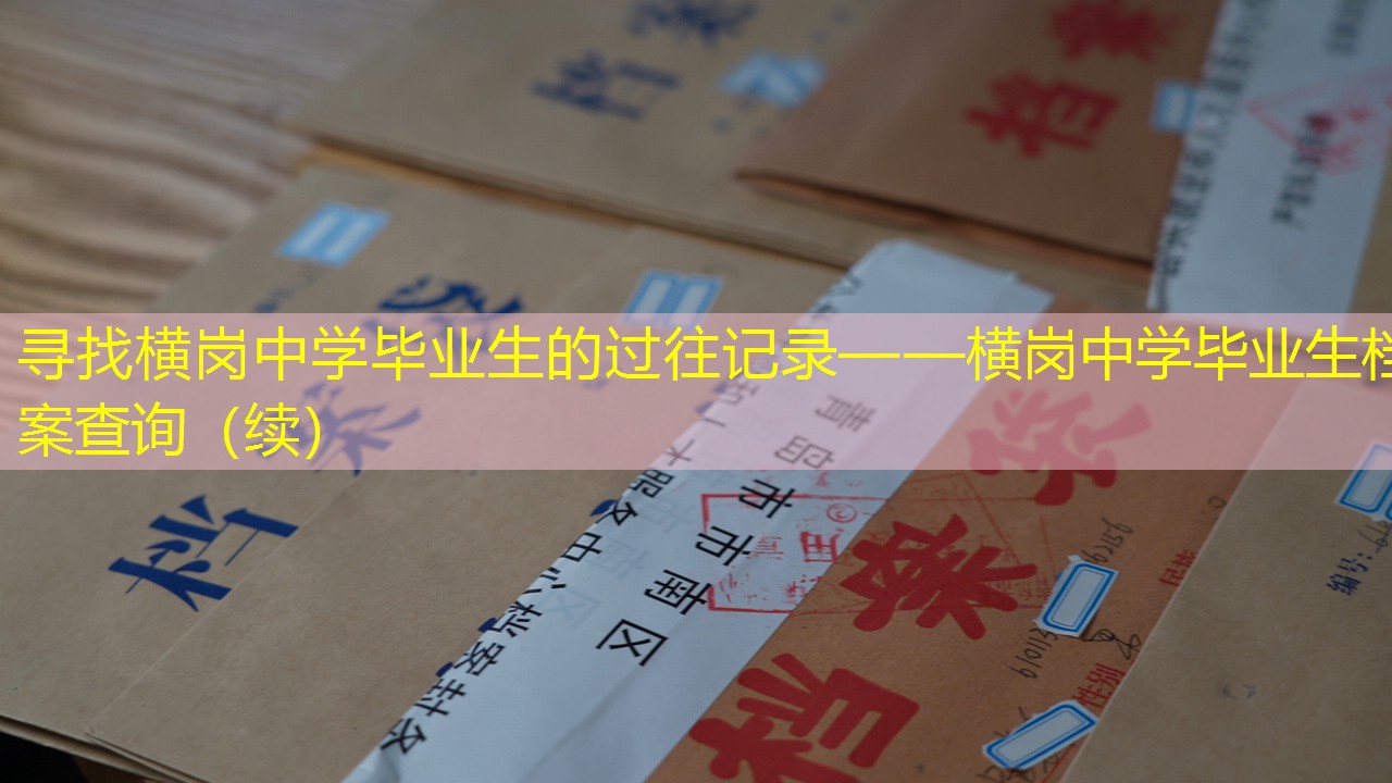 档案查询