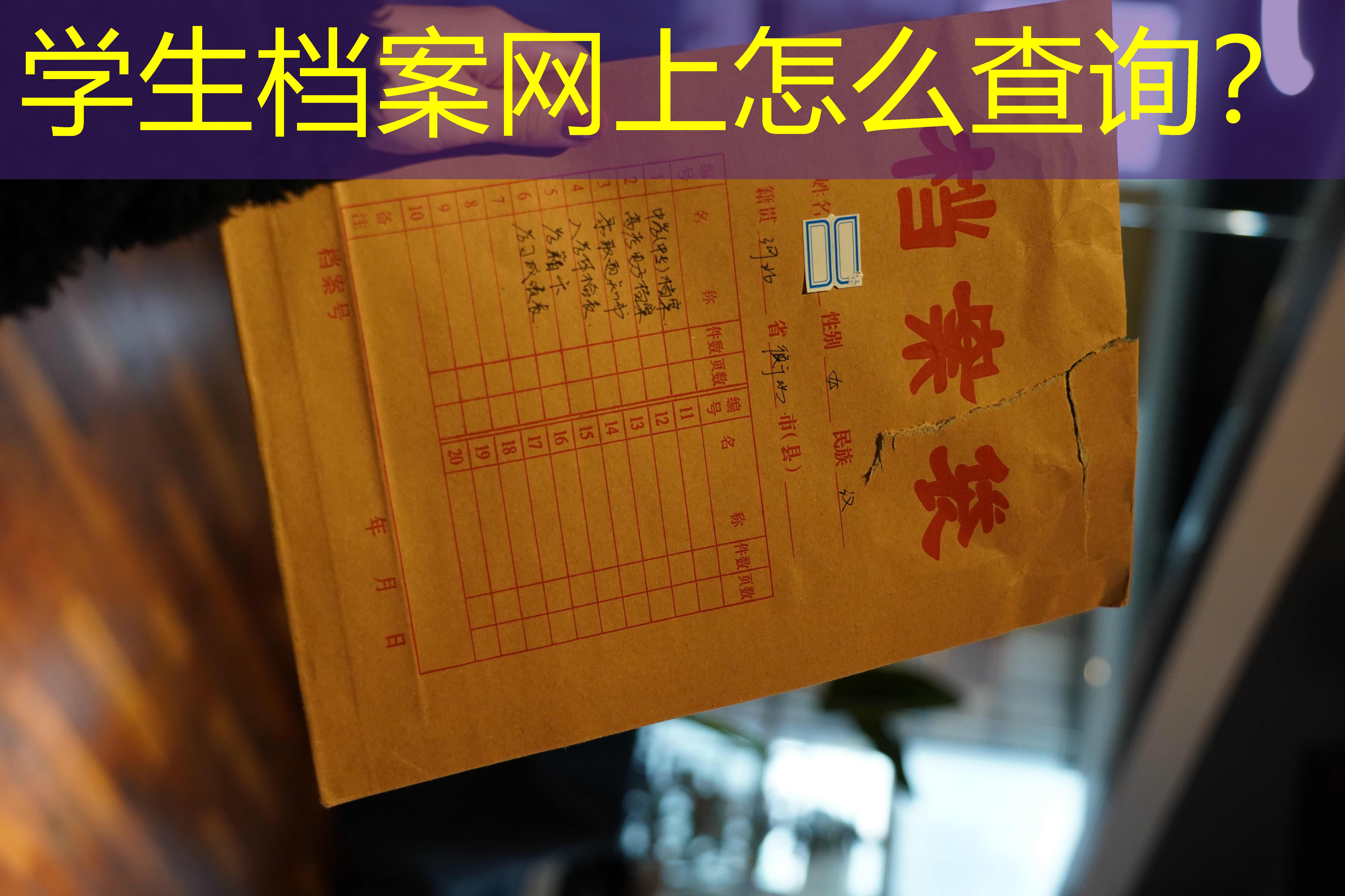 档案查询