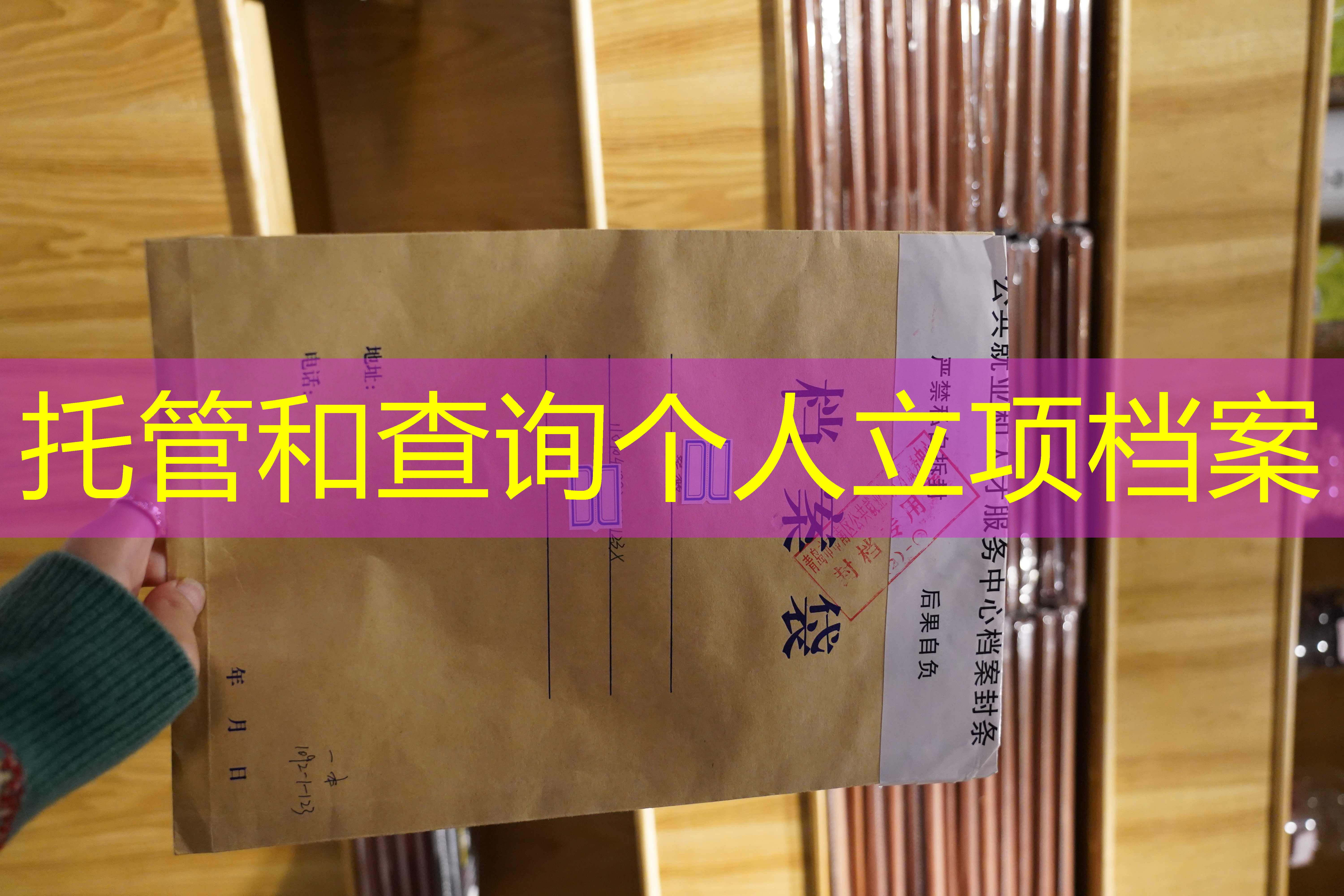 档案查询
