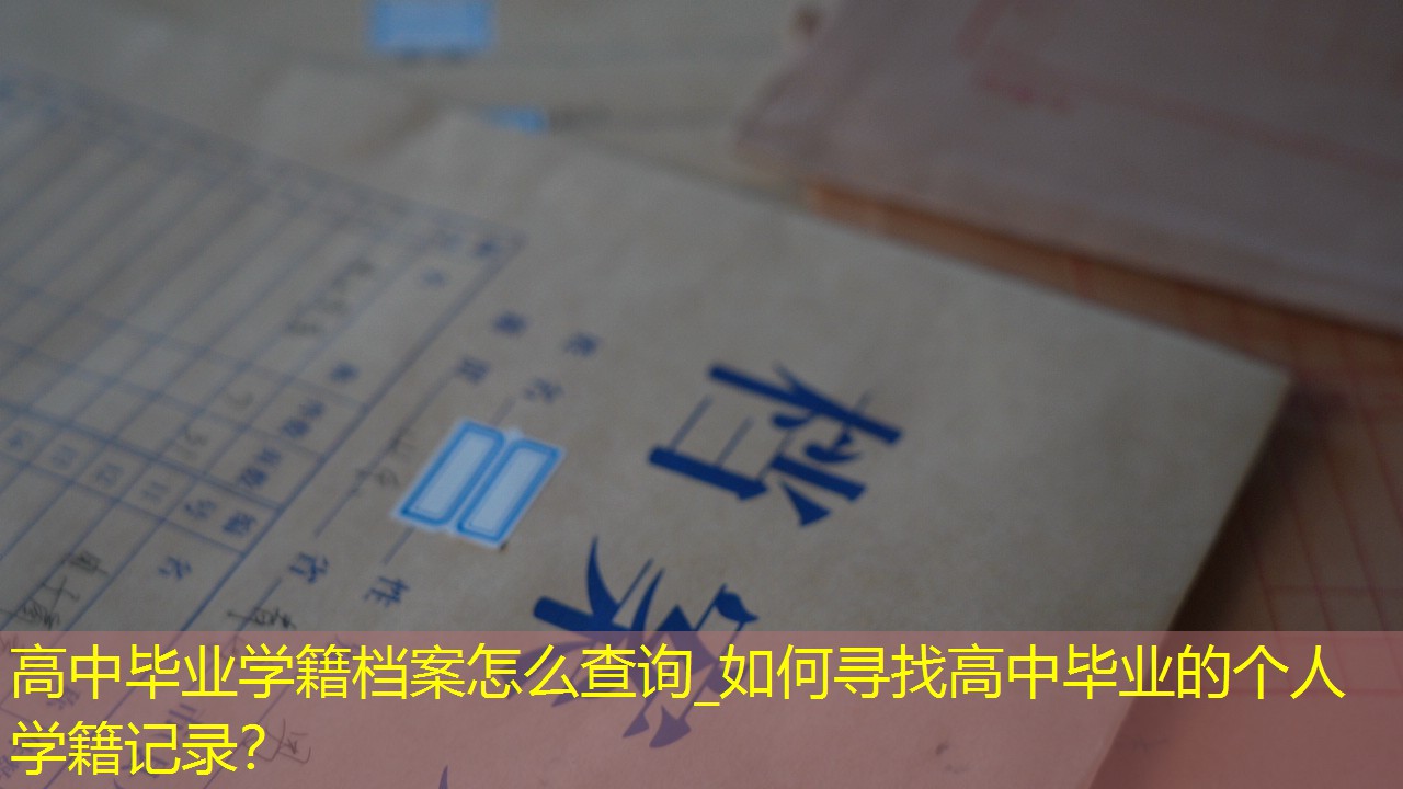 档案查询